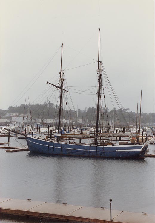 Every dollar gets us a mile closer to Rrrrr treasure!!! campaign photo, 2 of 6