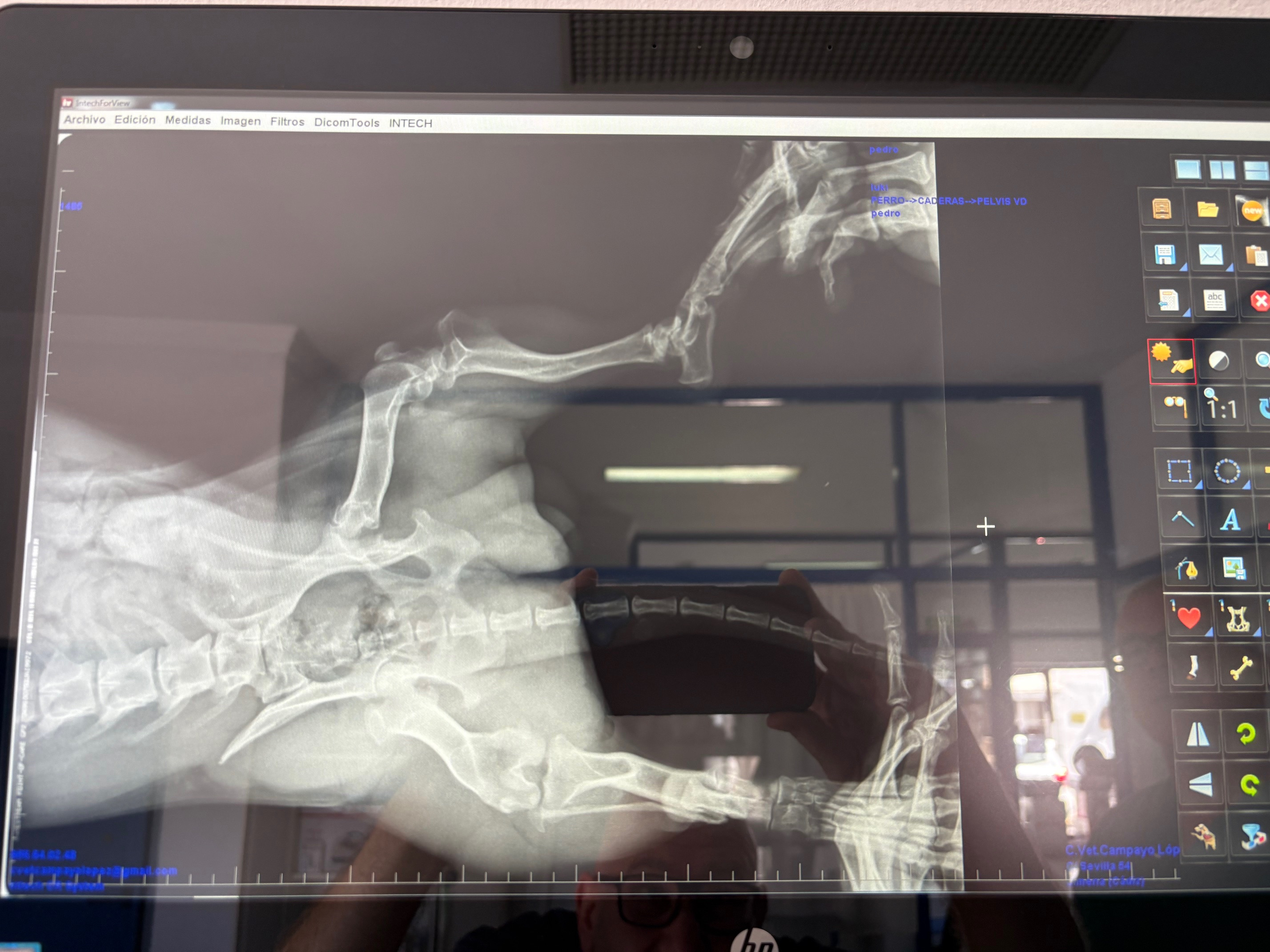 Help Pedro the Podenco Walk Again campaign photo, 4 of 7