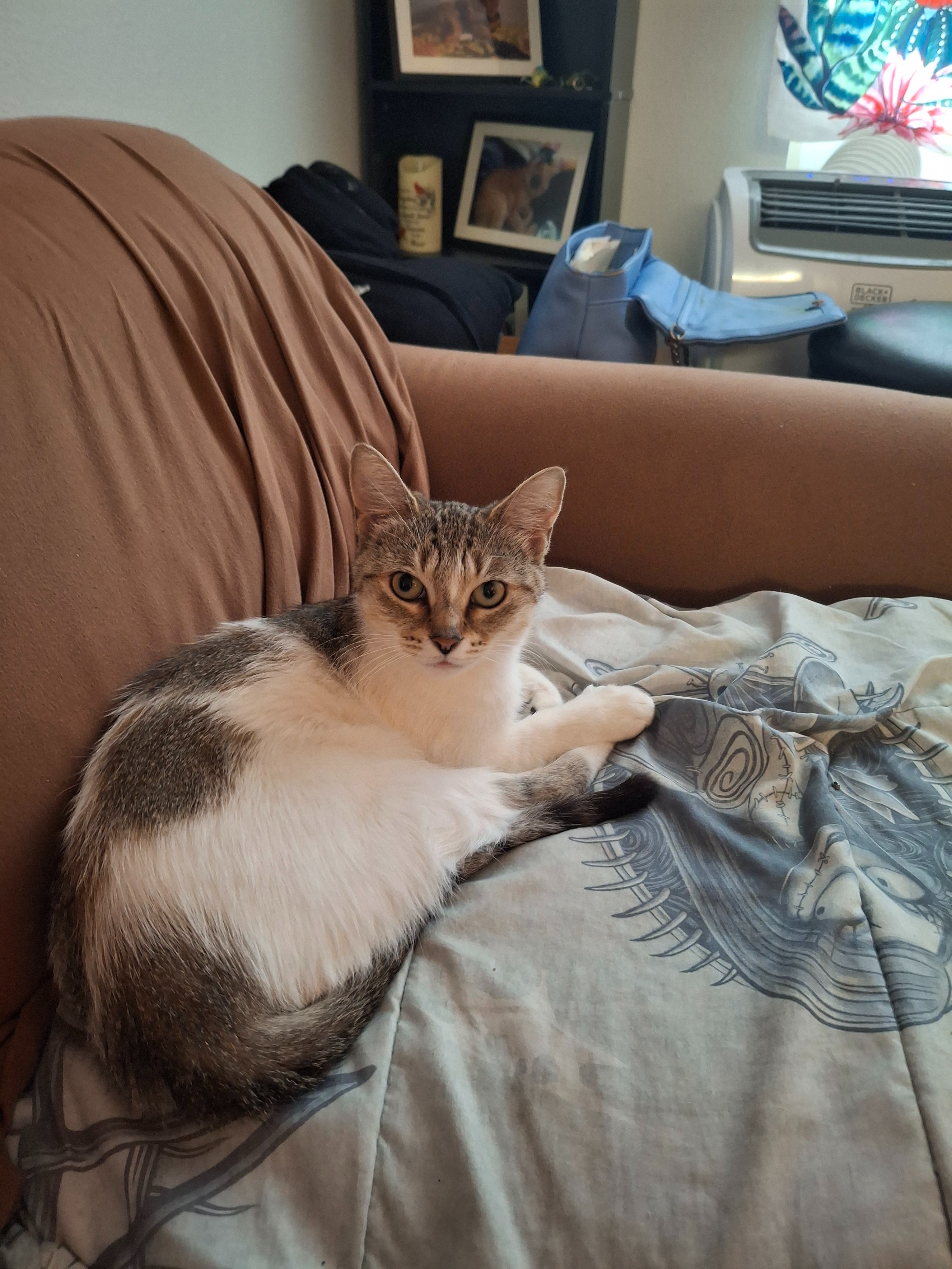 Help Kelly Recover from Critical Surgery campaign photo, 2 of 4
