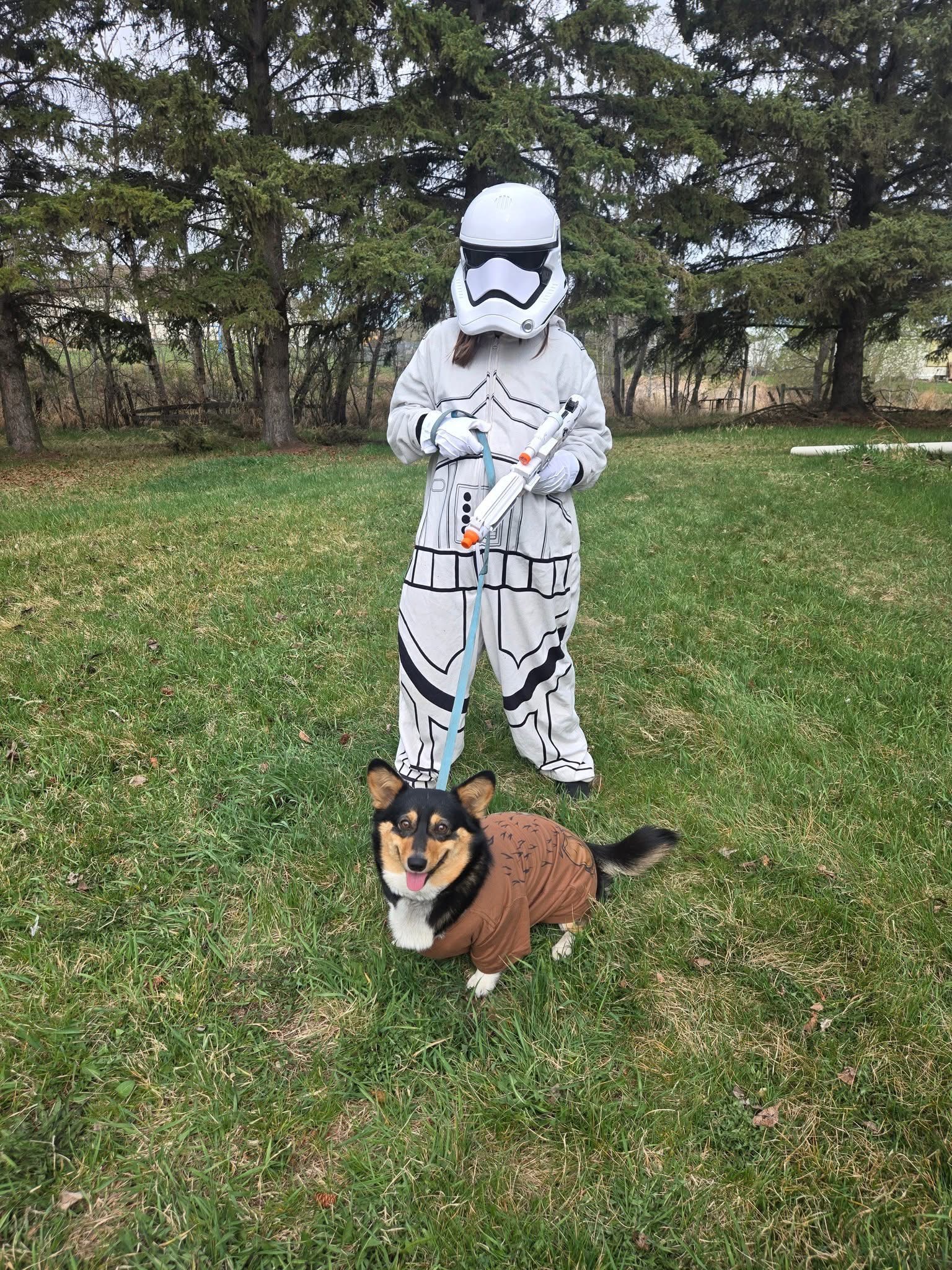 Help my friend Brittany who took the bite to save Corgi Nova campaign photo, 2 of 7