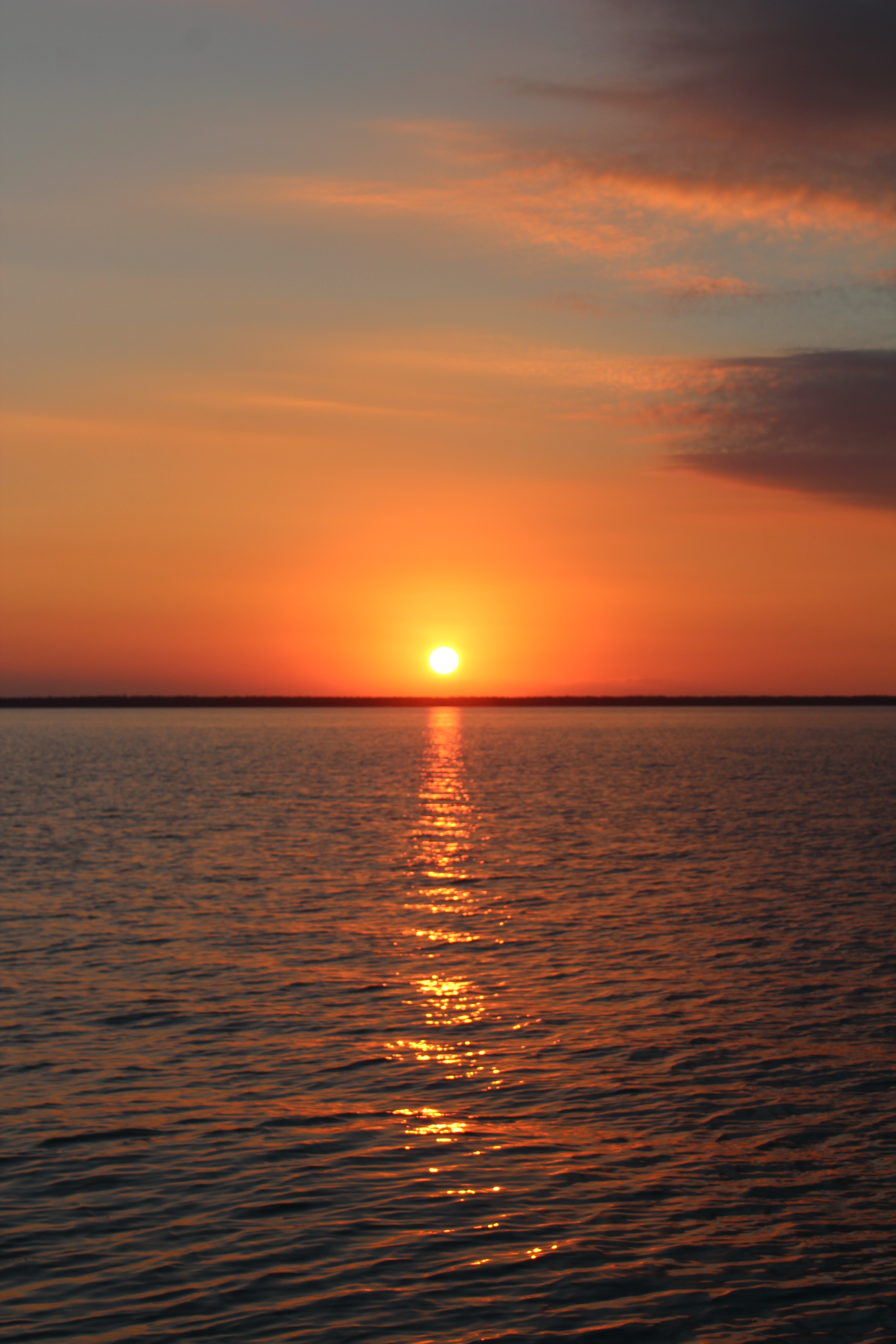 User-uploaded image 1