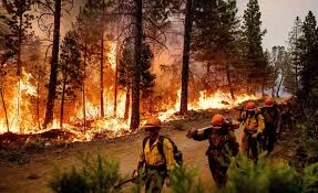 Help families affected by US wildfires campaign photo, 5 of 6