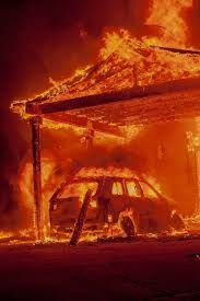 Help families affected by US wildfires campaign photo, 4 of 6