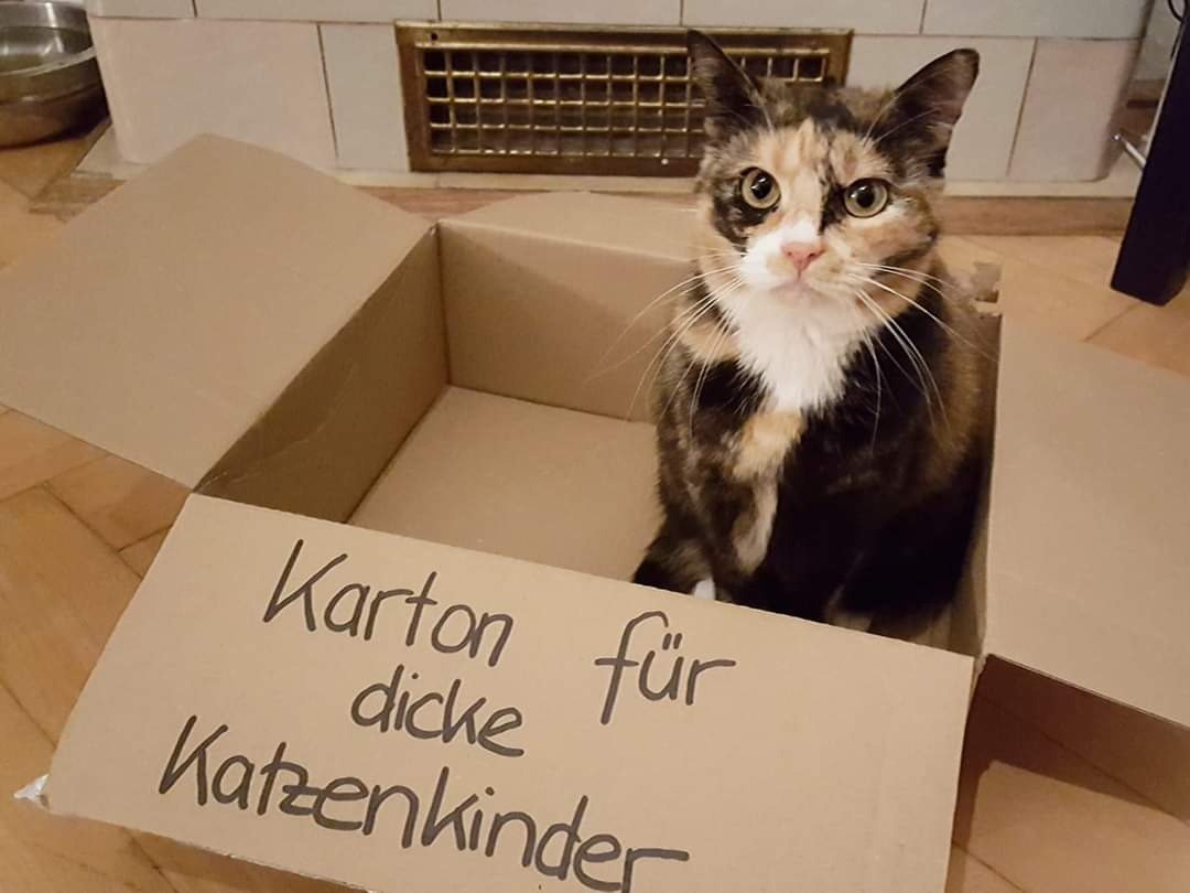 Inkontinente Julie und alleinerziehende Mama brauchen Hilfe campaign photo, 7 of 8