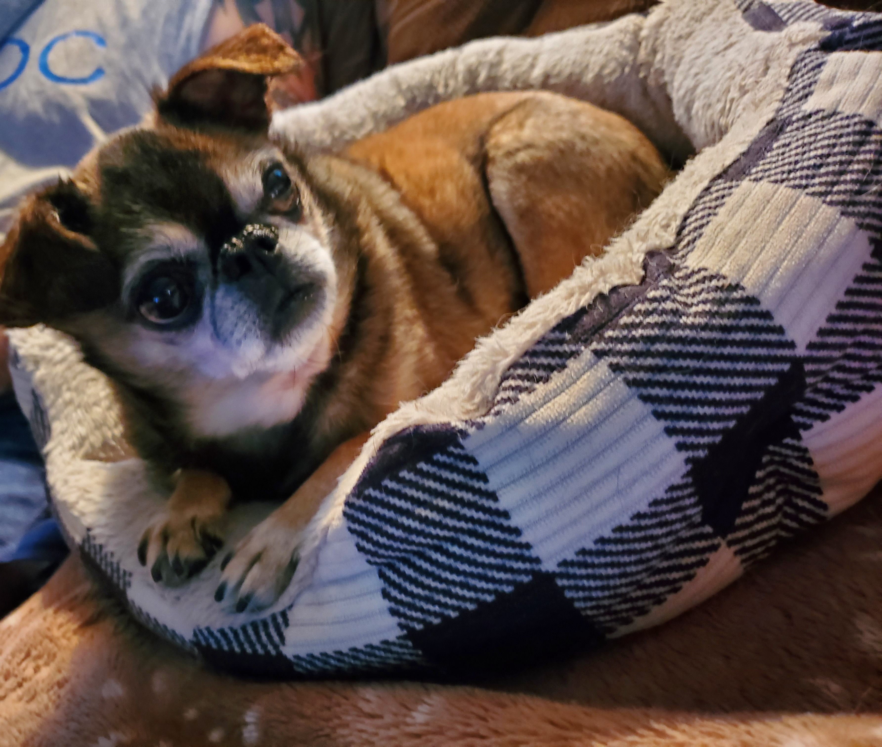 Noah's unexpected emergency surgery campaign photo, 4 of 6