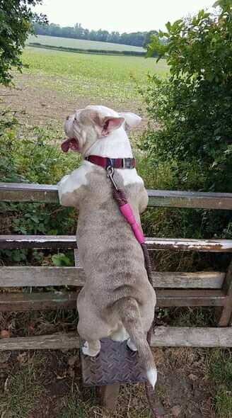 SPARE £5 TO HELP DARLA TO BE FOUND campaign photo, 4 of 6