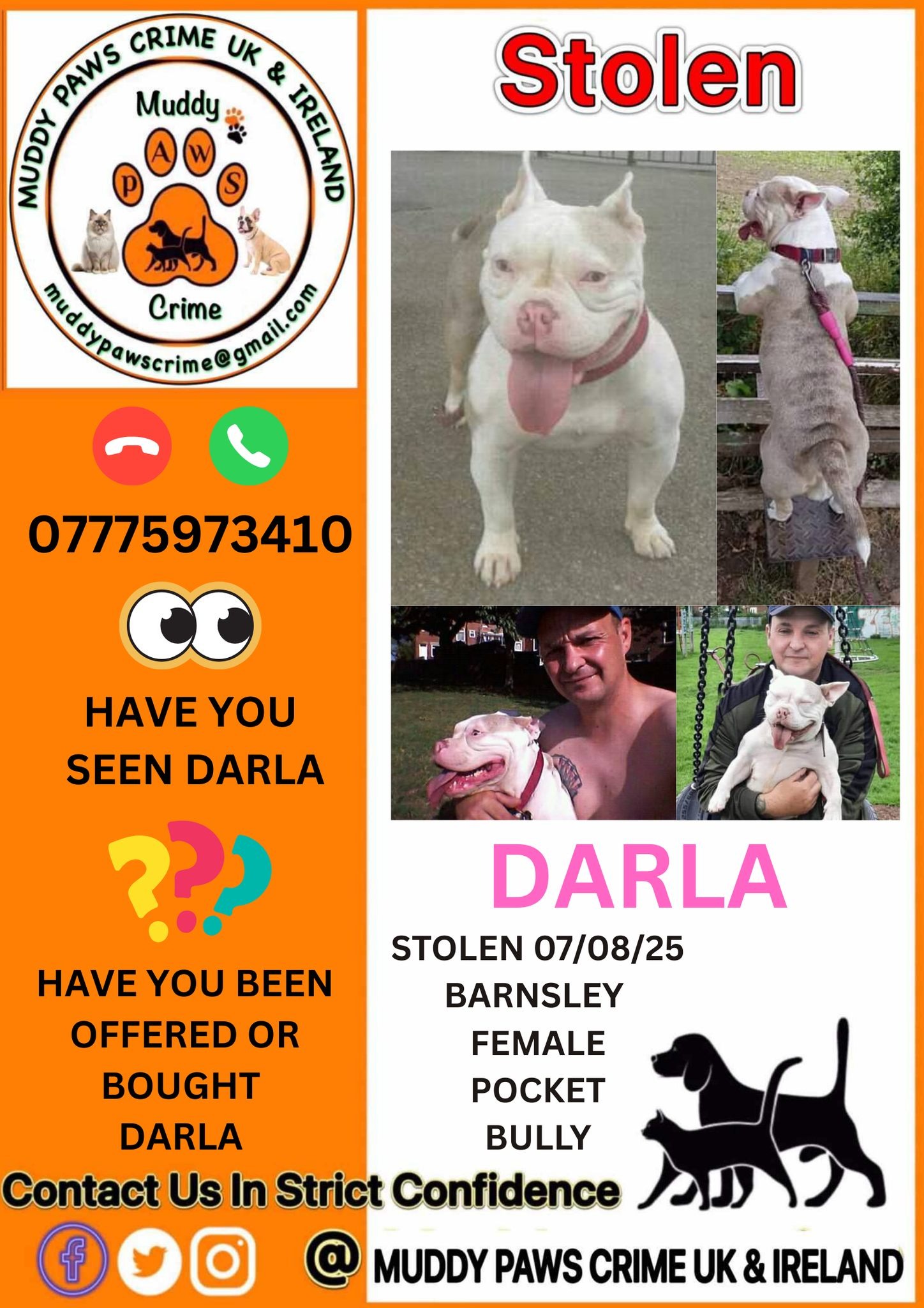SPARE £5 TO HELP DARLA TO BE FOUND campaign photo, 5 of 6