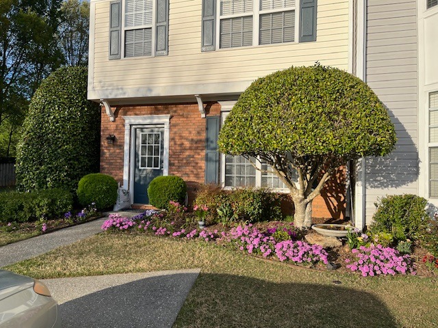 The Fight for HOA Justice. Rise of the Yard Nazis campaign photo, 4 of 6
