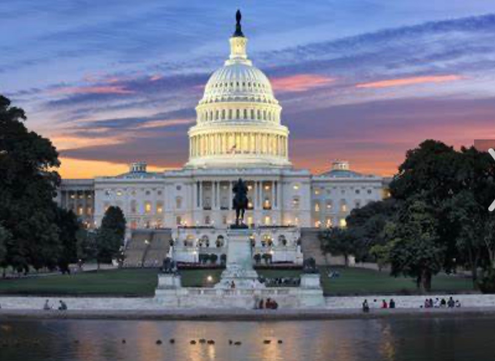 Ariana’s 8th grade DC trip campaign photo, 4 of 5