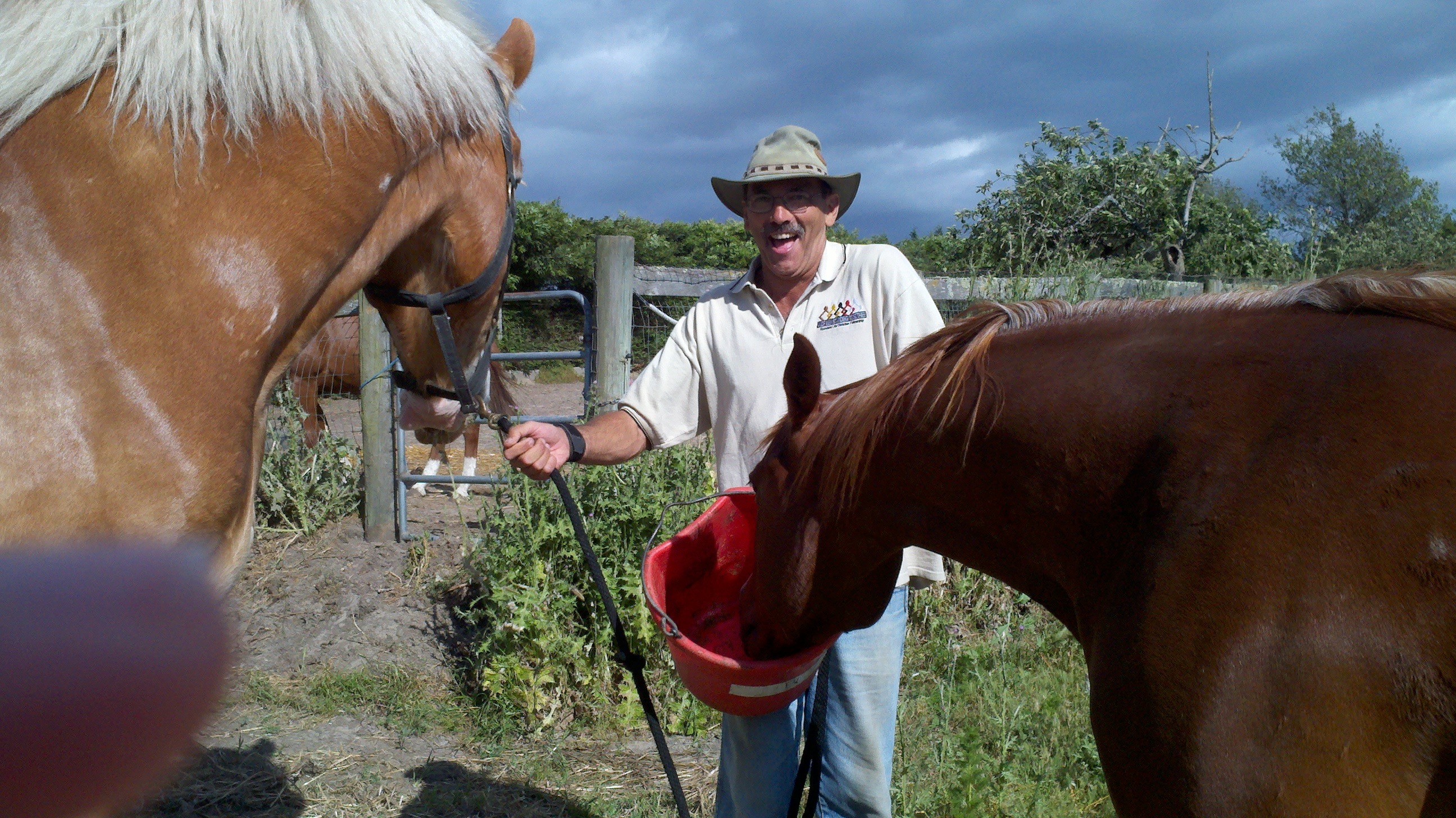 User-uploaded image 1