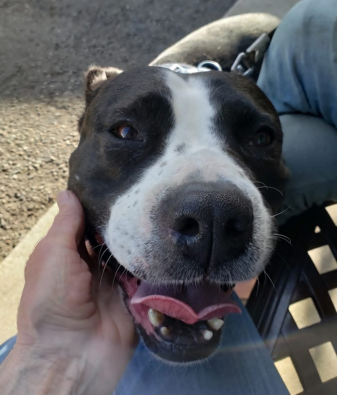 Help Babygurl Get Life-Saving Surgery campaign photo, 4 of 7