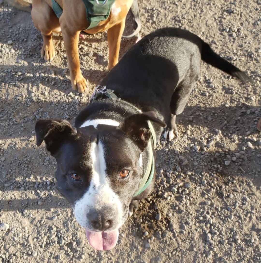 Help Babygurl Get Life-Saving Surgery campaign photo, 6 of 7