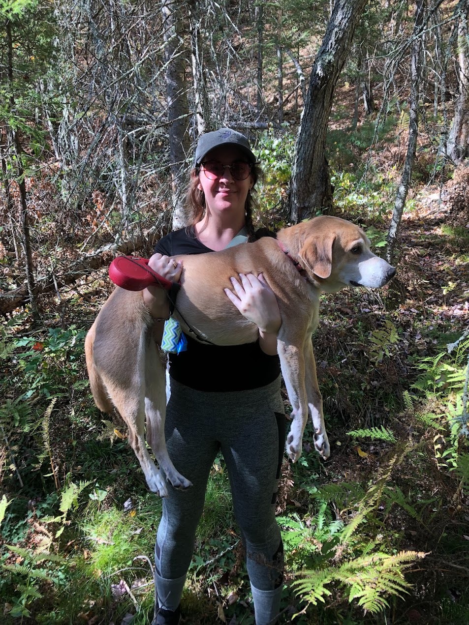 Help Dog Fight Canine Lymphoma campaign photo, 2 of 7