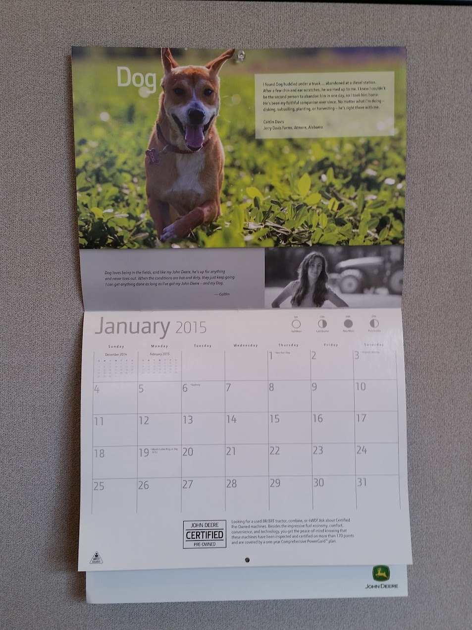 Help Dog Fight Canine Lymphoma campaign photo, 5 of 7