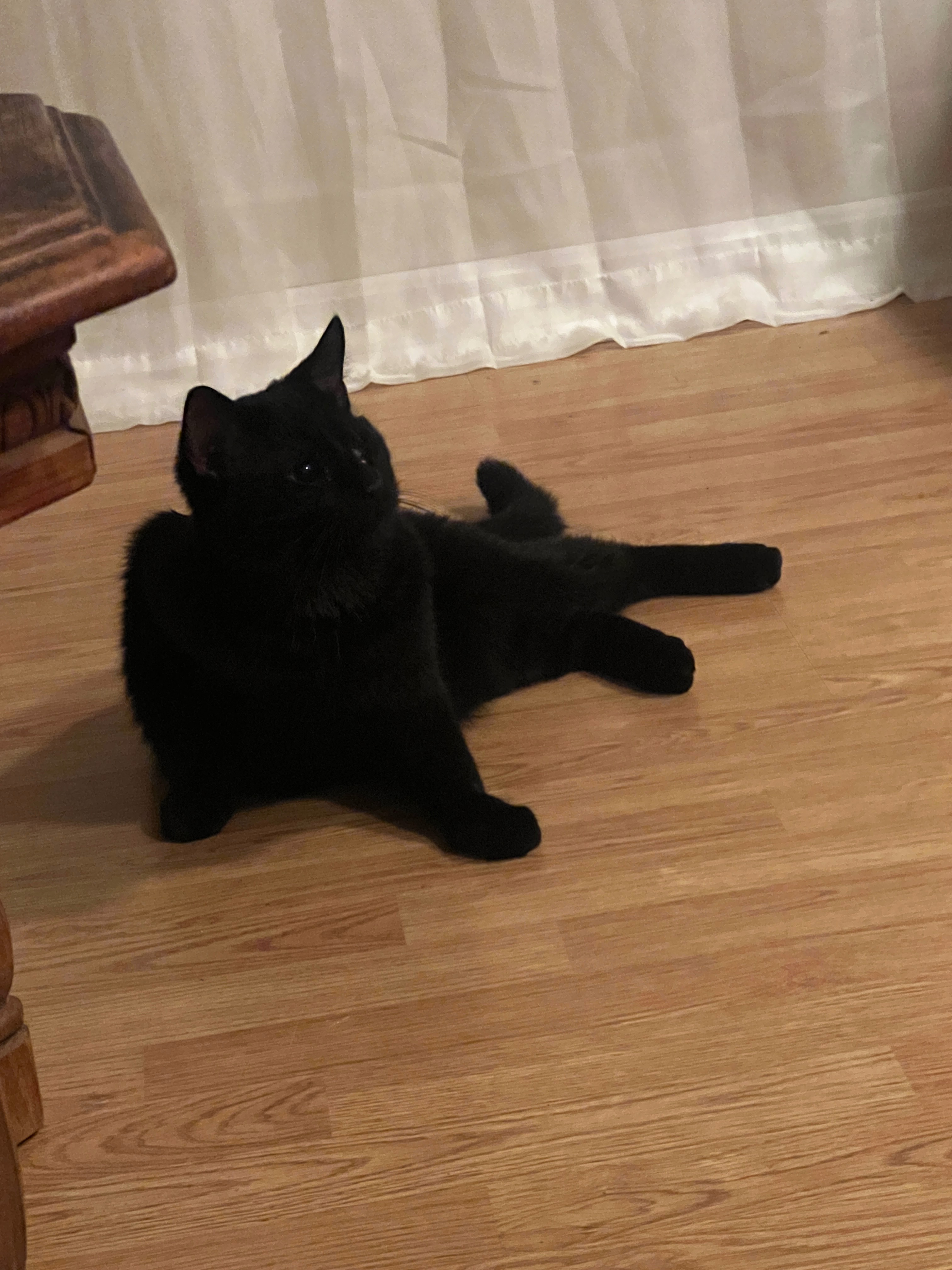 Help Jack Get the Surgery He Needs! campaign photo, 7 of 8