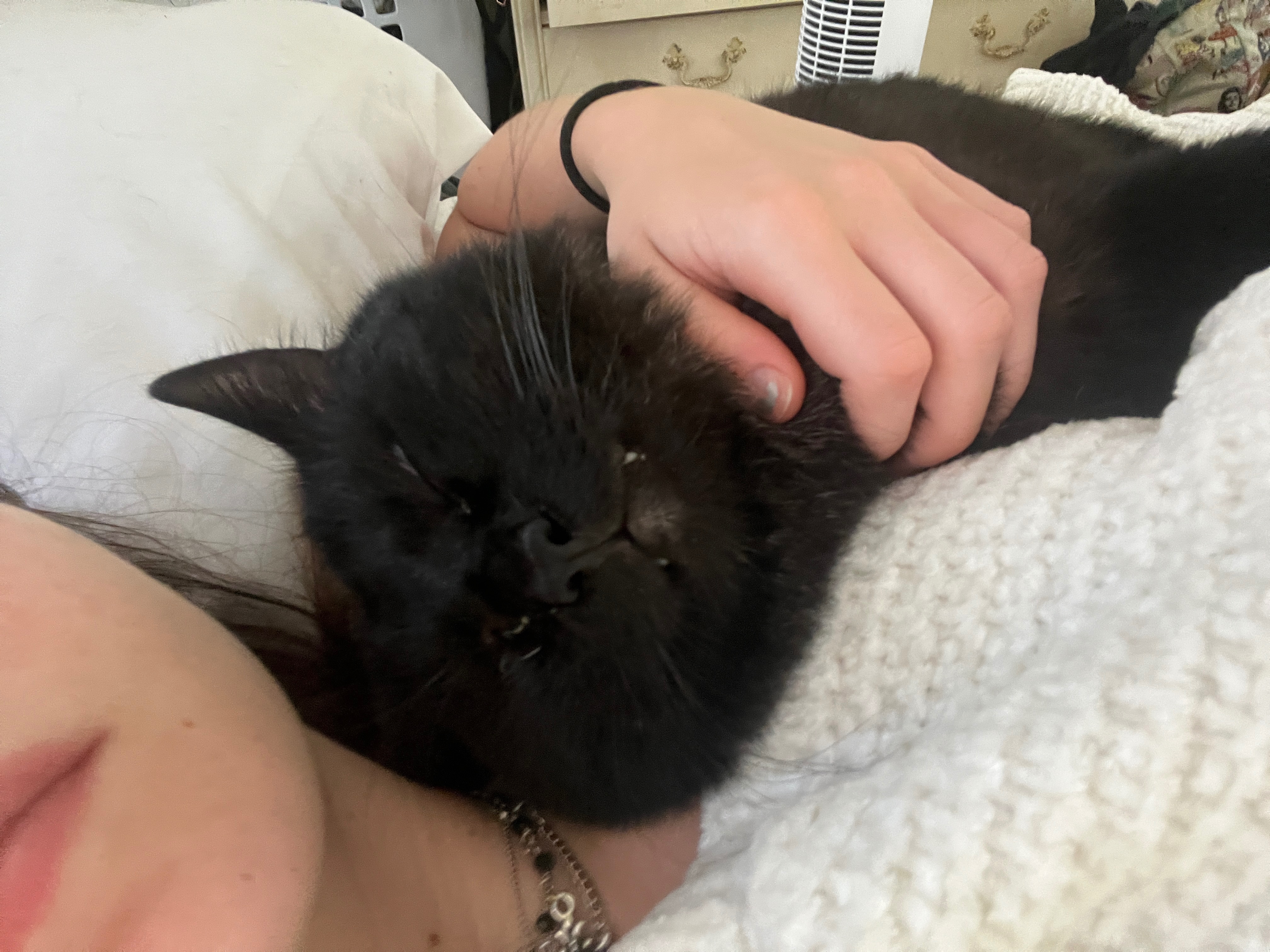 Help Jack Get the Surgery He Needs! campaign photo, 2 of 8