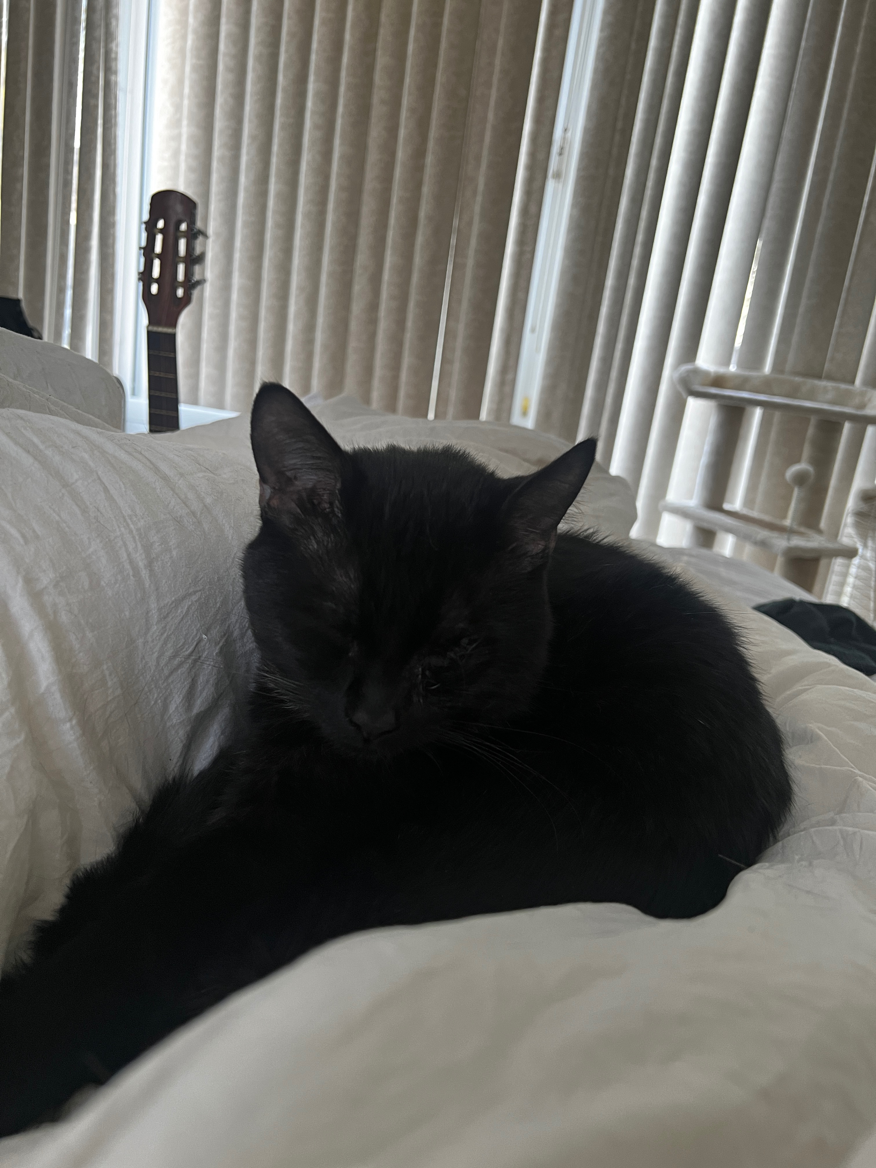 Help Jack Get the Surgery He Needs! campaign photo, 4 of 8