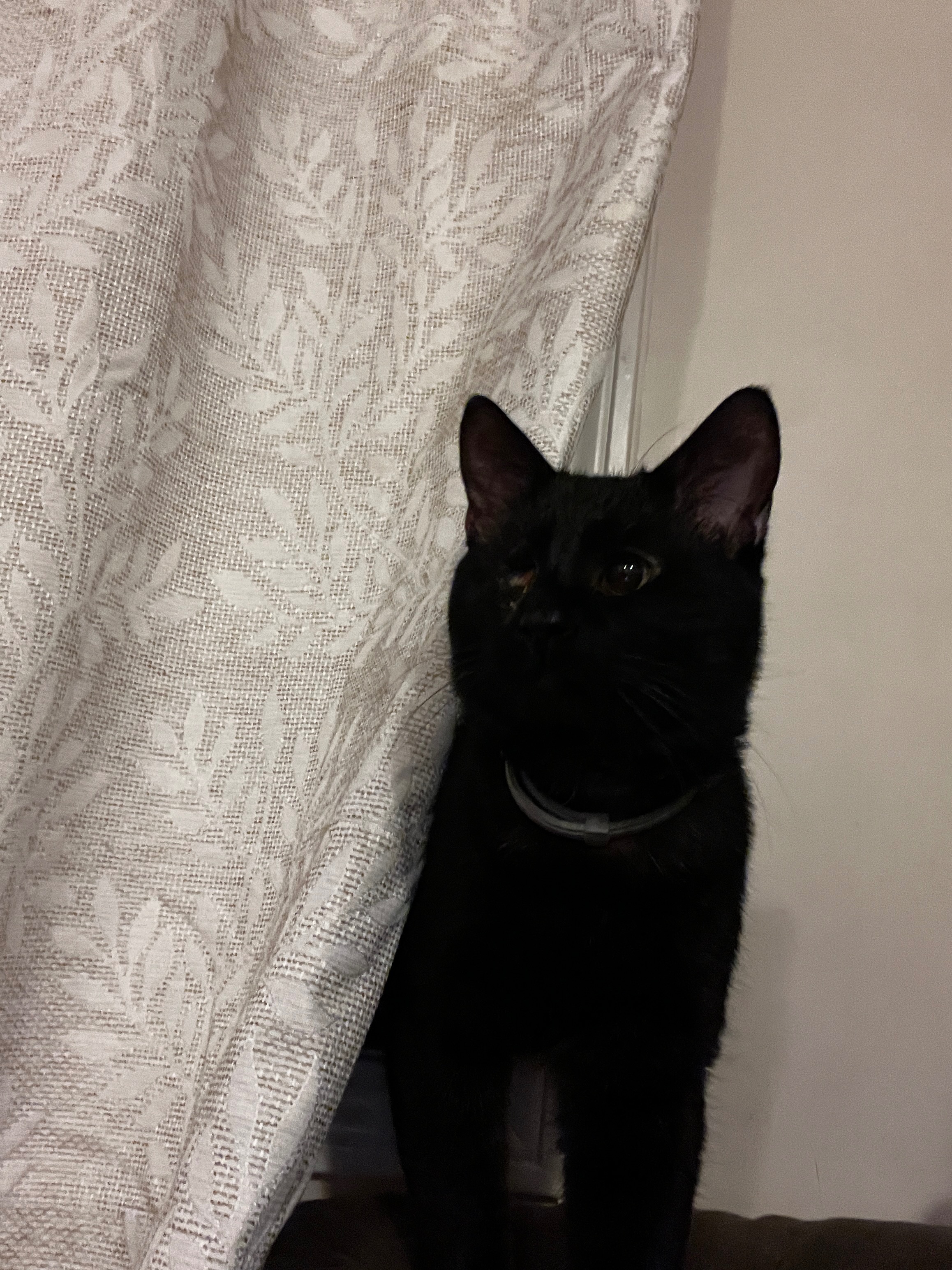 Help Jack Get the Surgery He Needs! campaign photo, 5 of 8