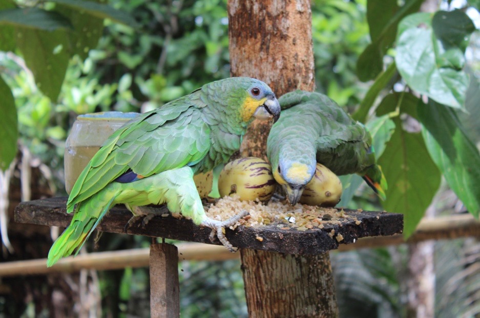 ECUADOR GALÁPAGOS EXPEDITION campaign photo, 2 of 6