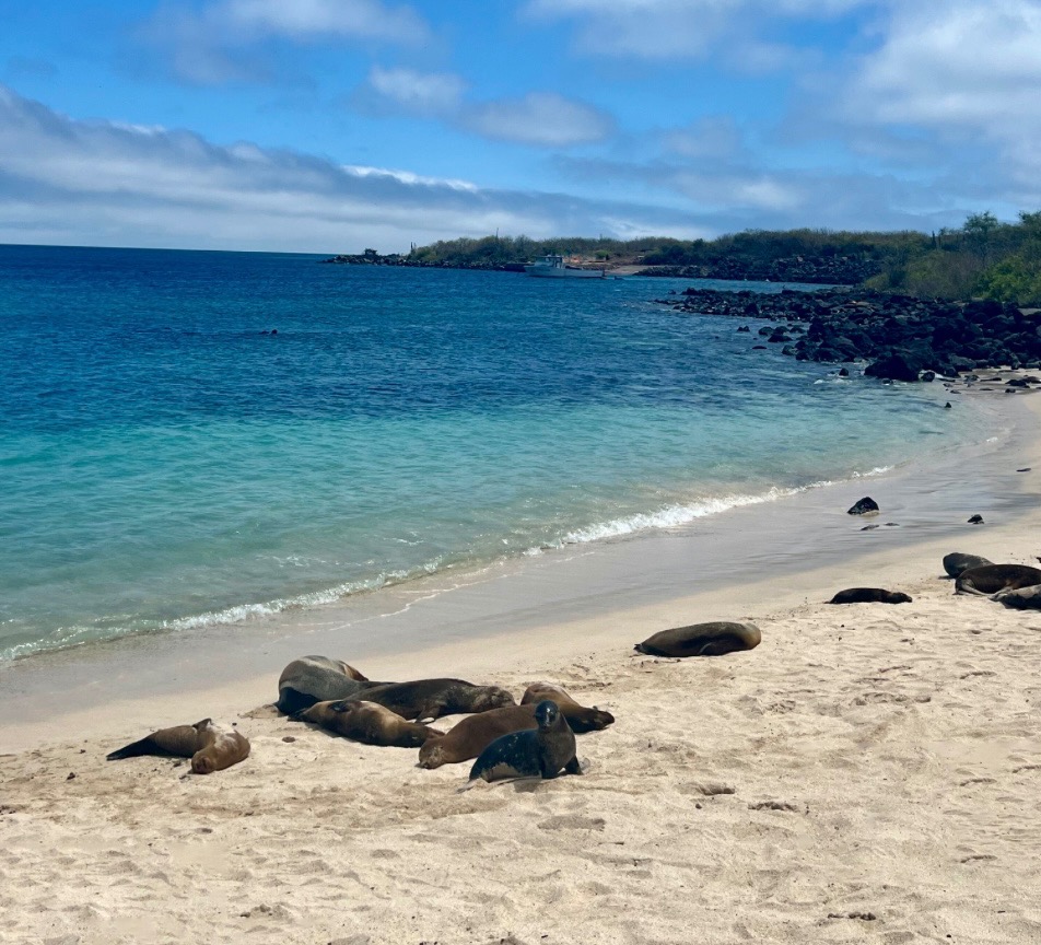 ECUADOR GALÁPAGOS EXPEDITION campaign photo, 4 of 6