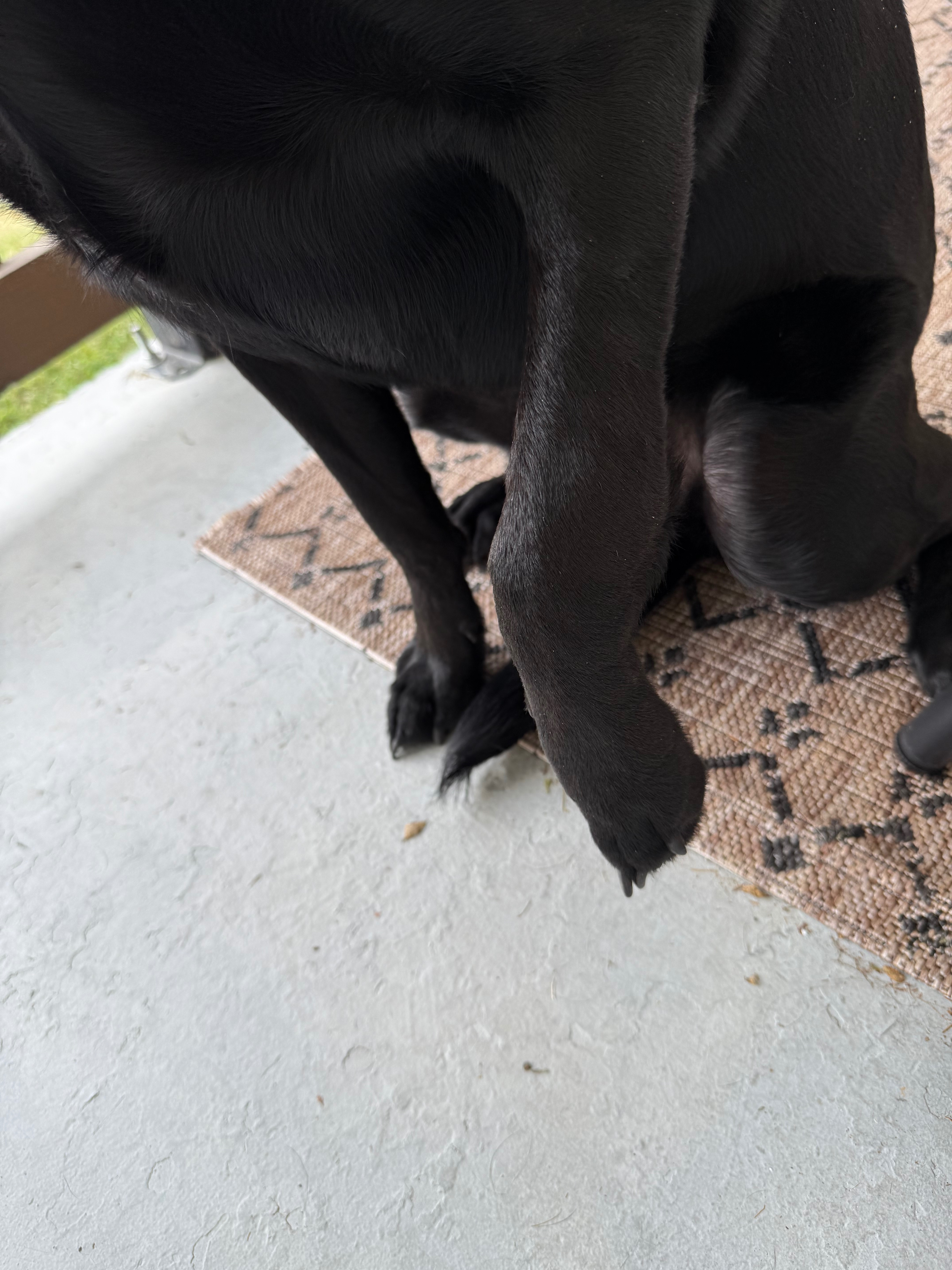 User-uploaded image 1