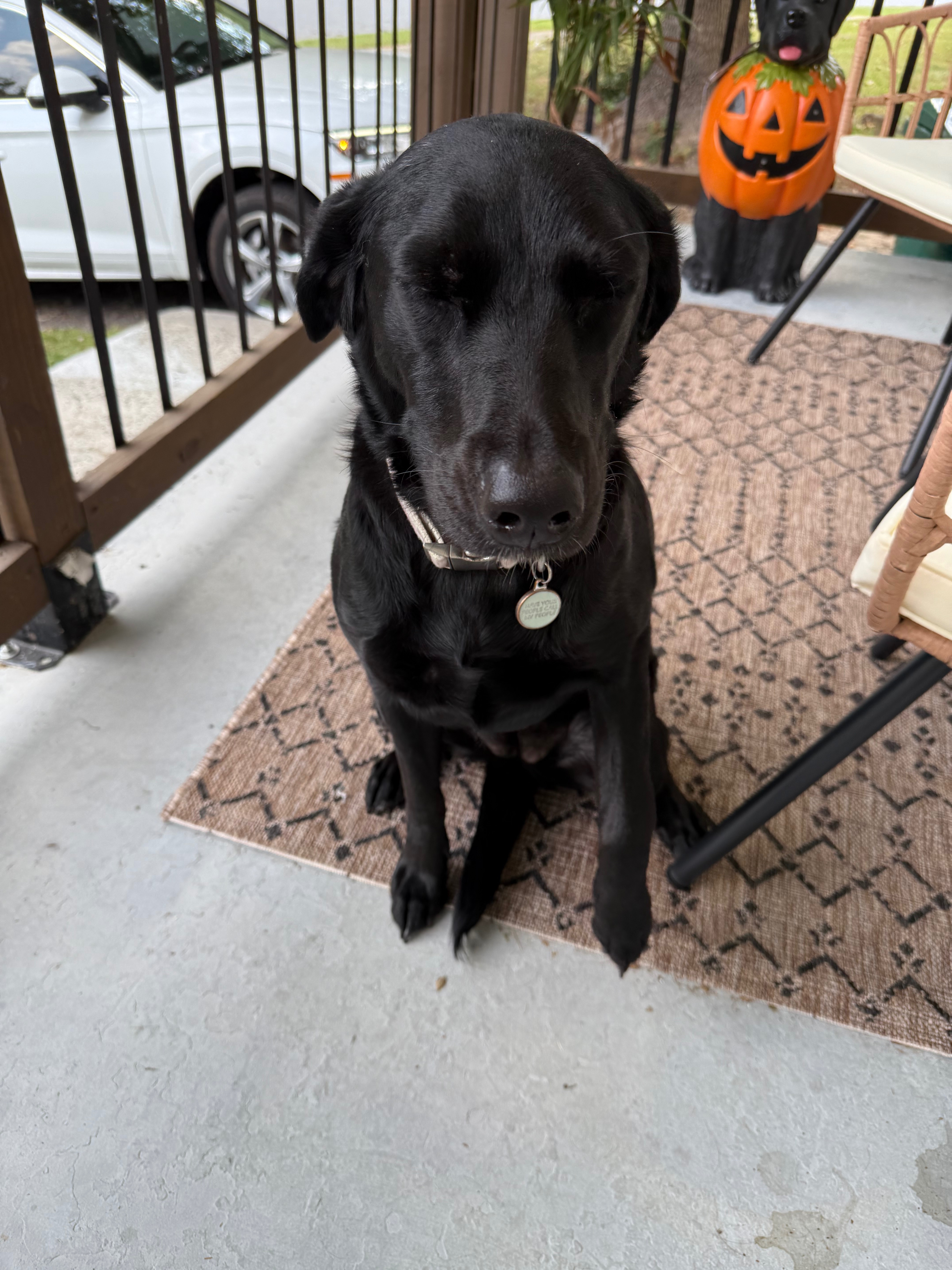 User-uploaded image 2