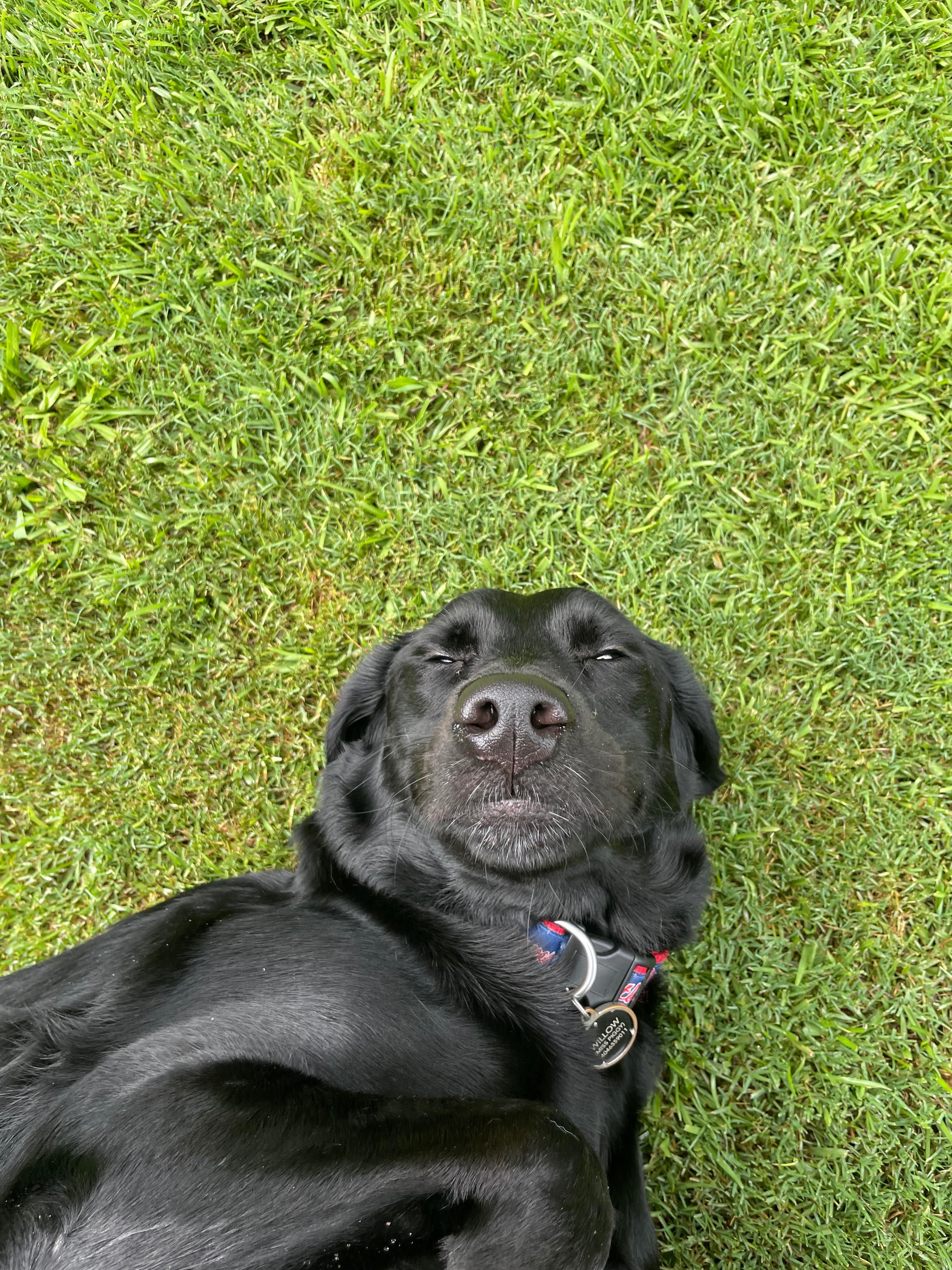 User-uploaded image 3