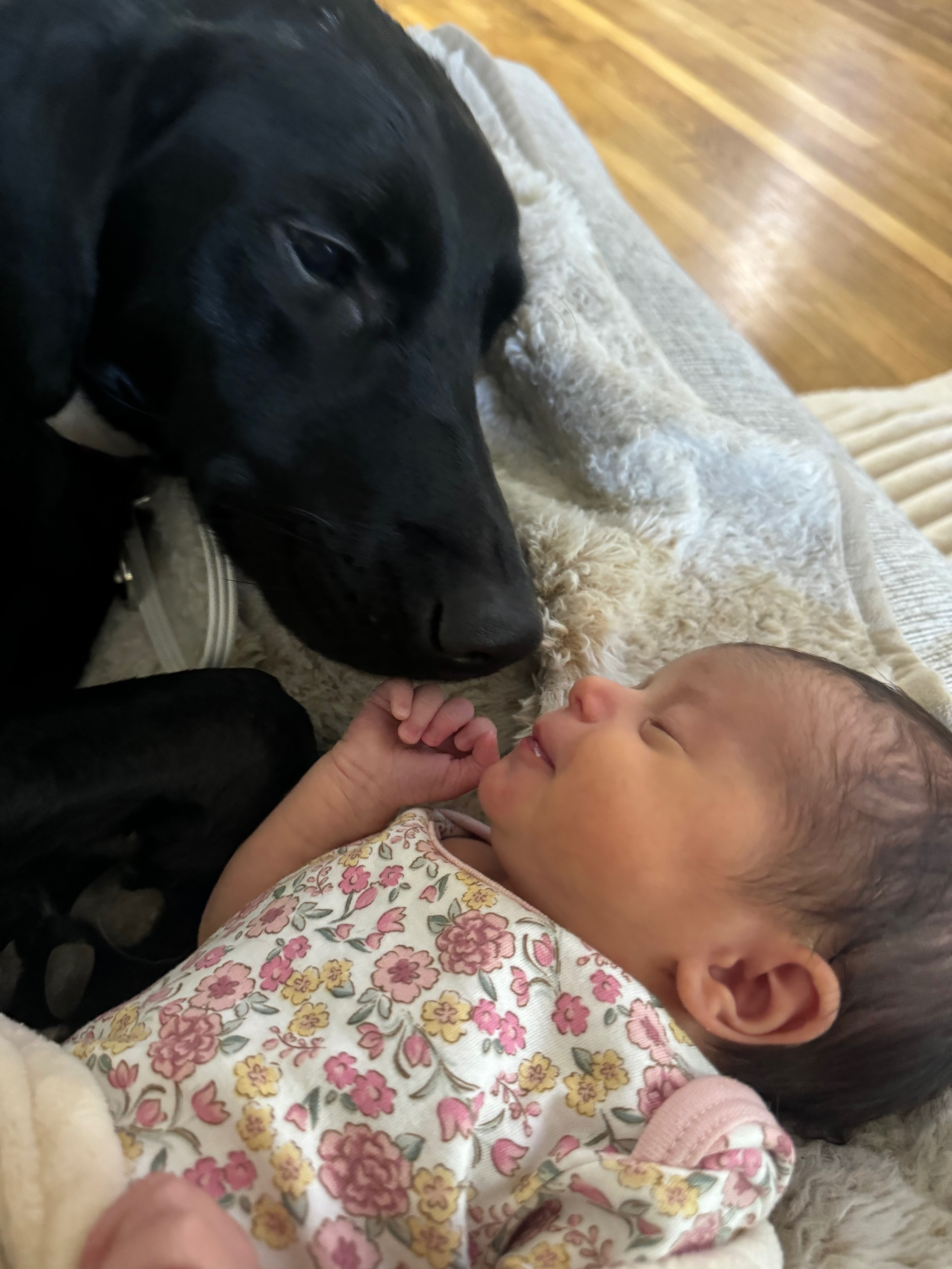 User-uploaded image 4