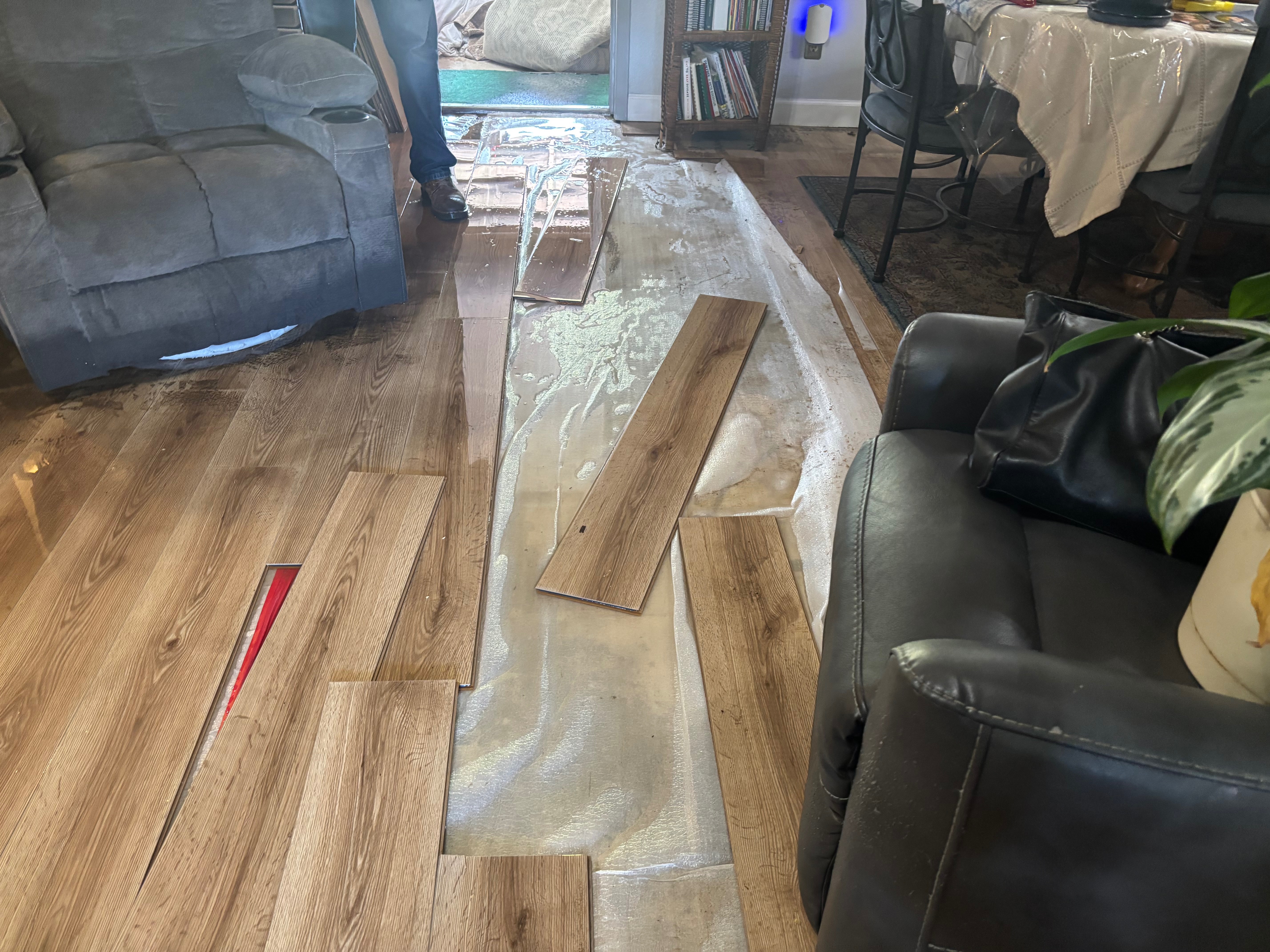 Help My Grandmother Rebuild After a Flood campaign photo, 7 of 8