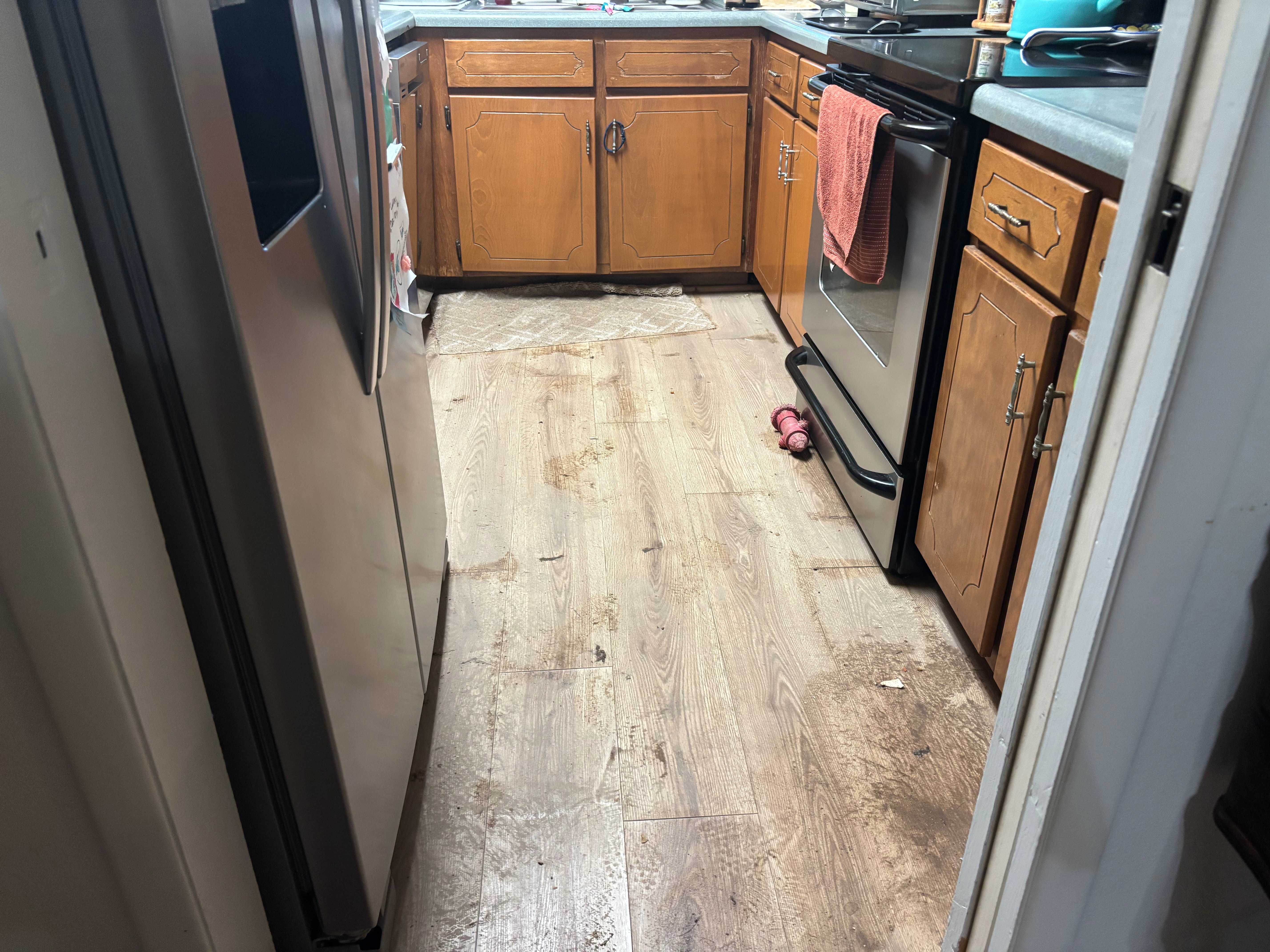 Help My Grandmother Rebuild After a Flood campaign photo, 2 of 8