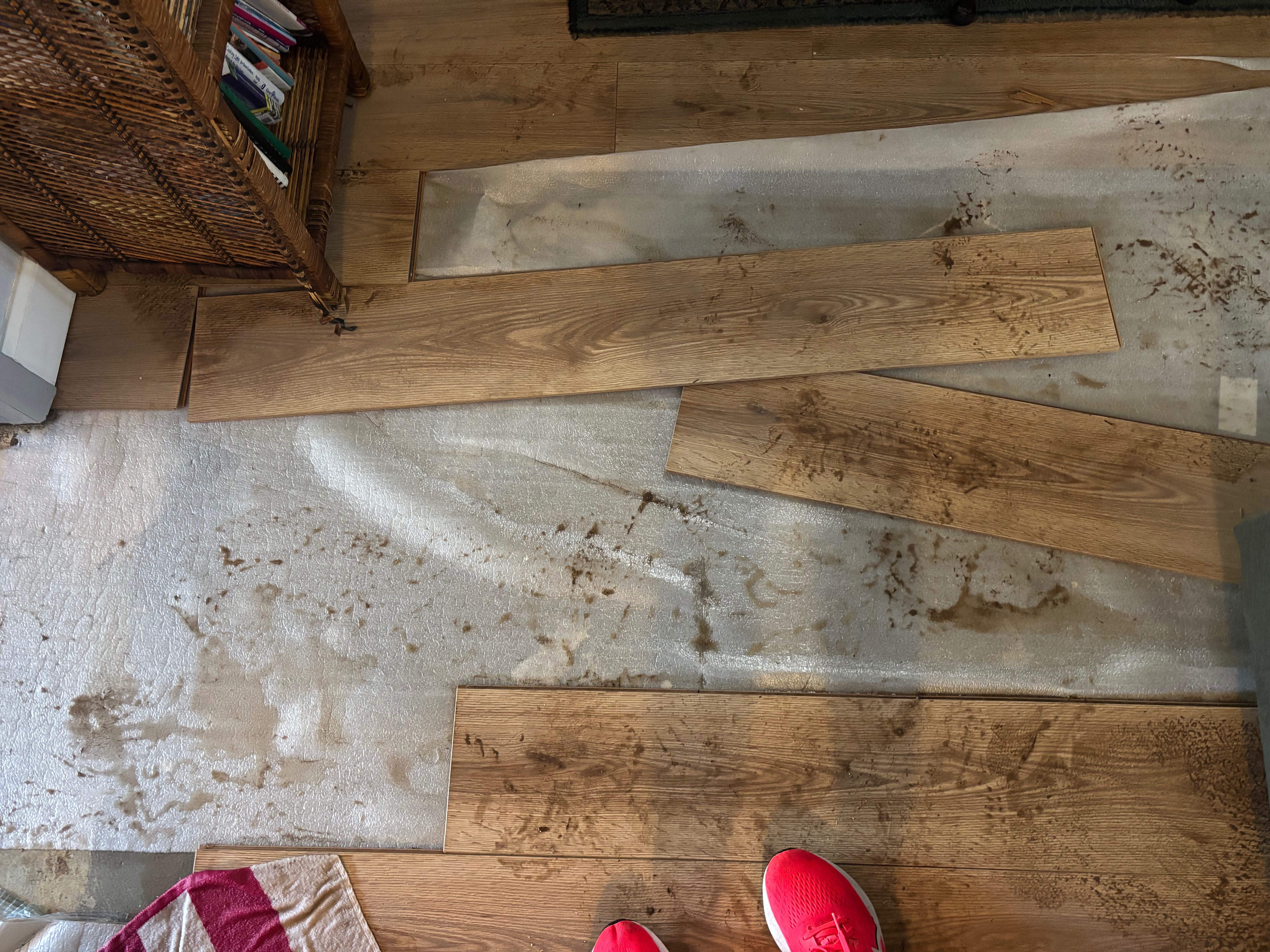 Help My Grandmother Rebuild After a Flood campaign photo, 4 of 8
