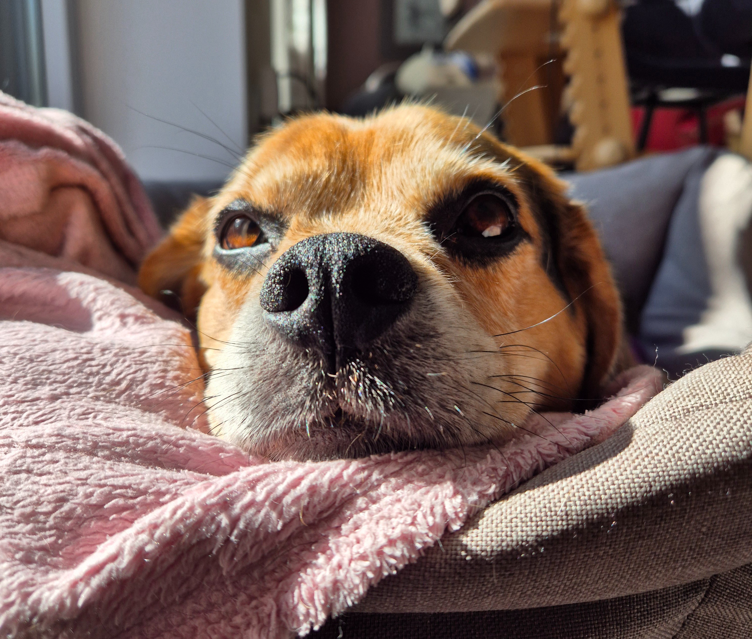 Milo hat einen BS-Vorfall und braucht deine Hilfe campaign photo, 4 of 7