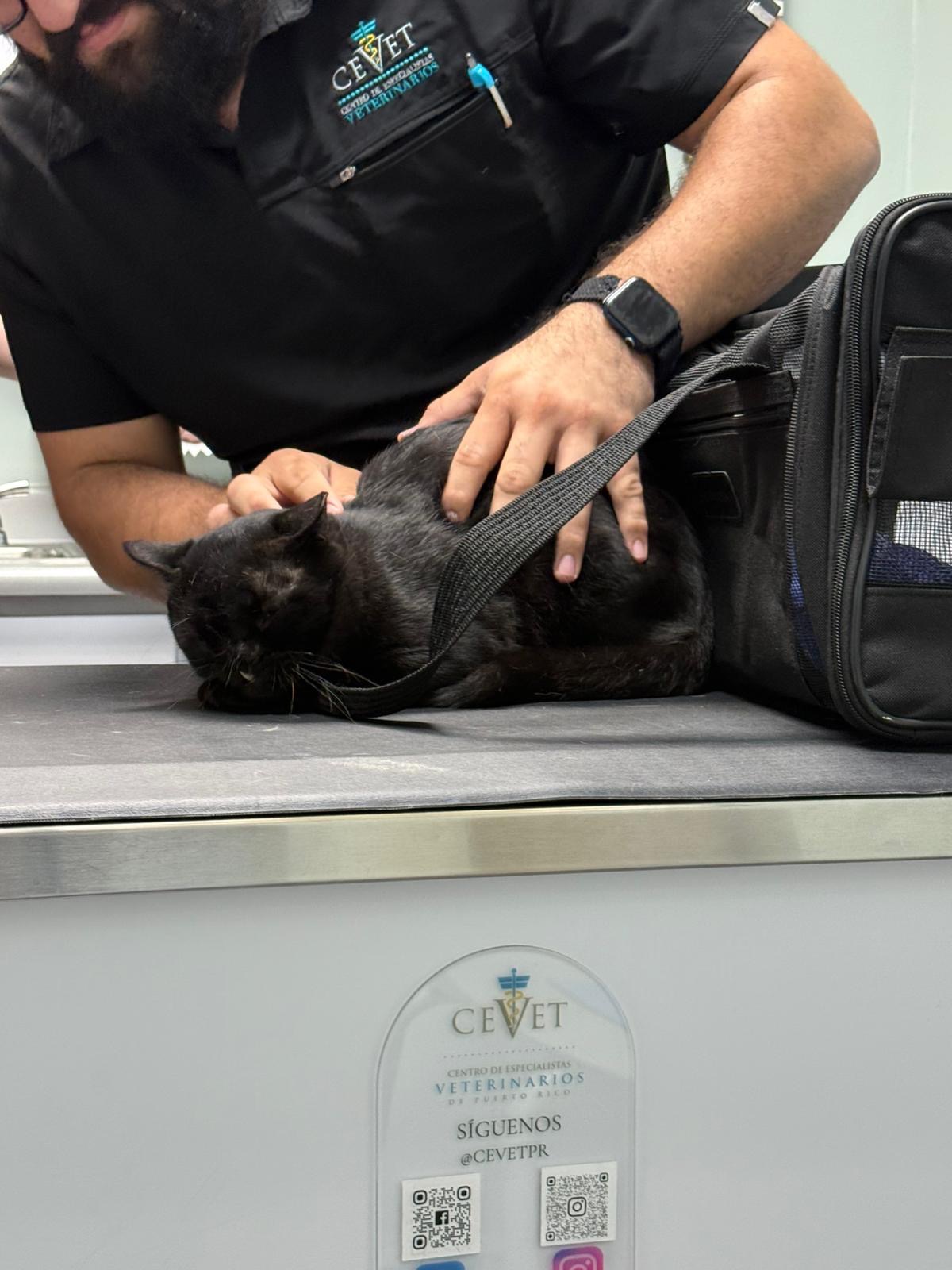 Help Ari get life saving surgery campaign photo, 4 of 7