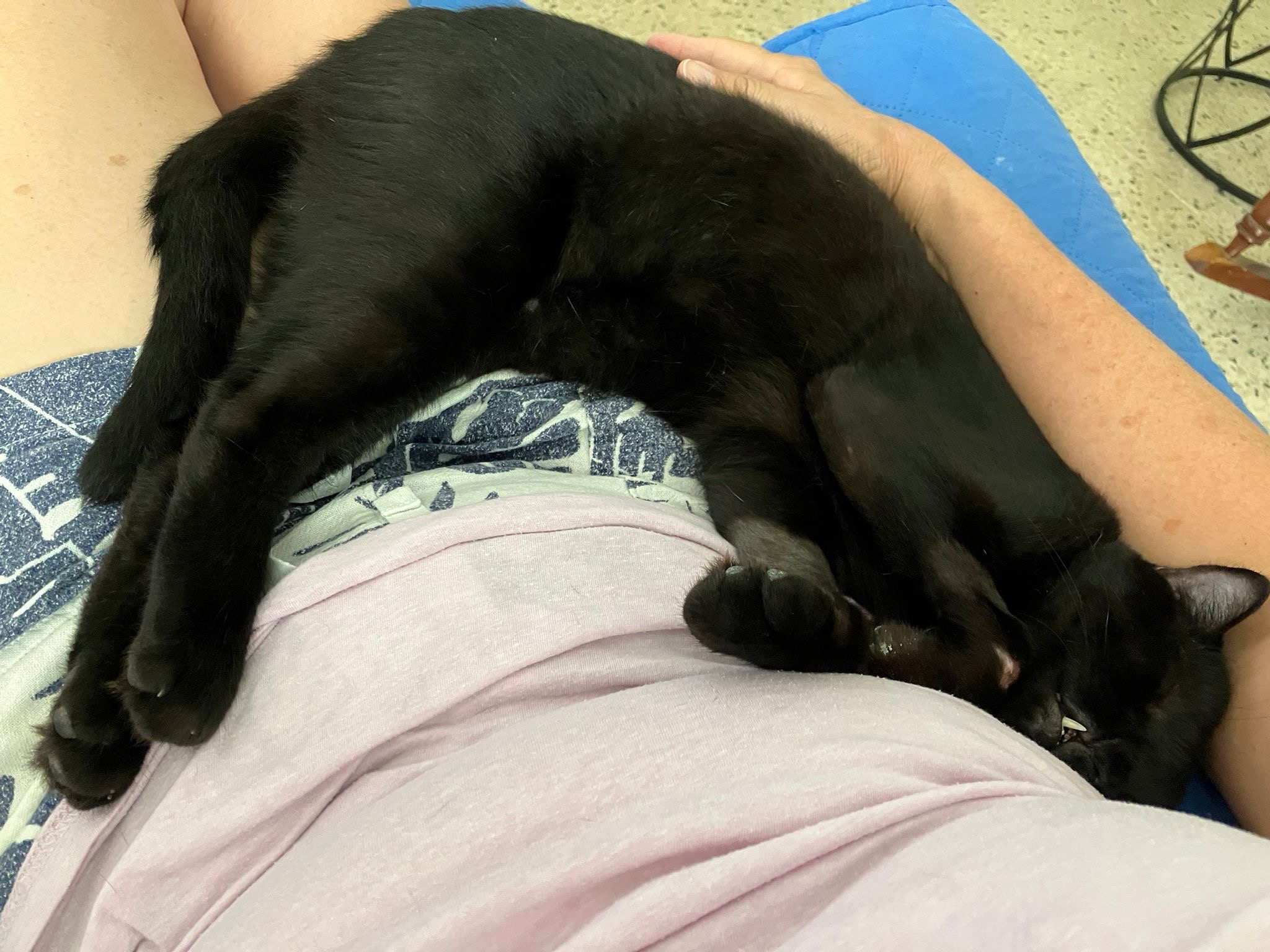 Help Ari get life saving surgery campaign photo, 5 of 7