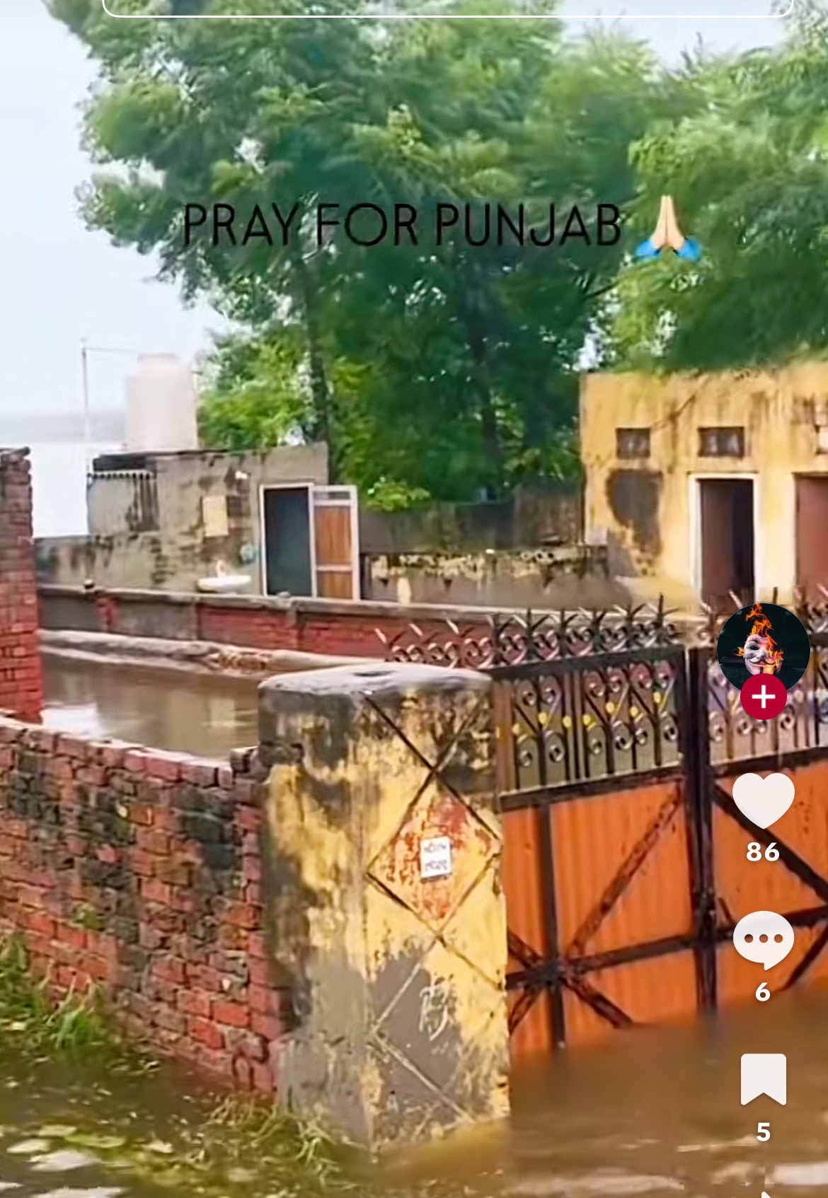 Help Punjab Now!! campaign photo, 4 of 8