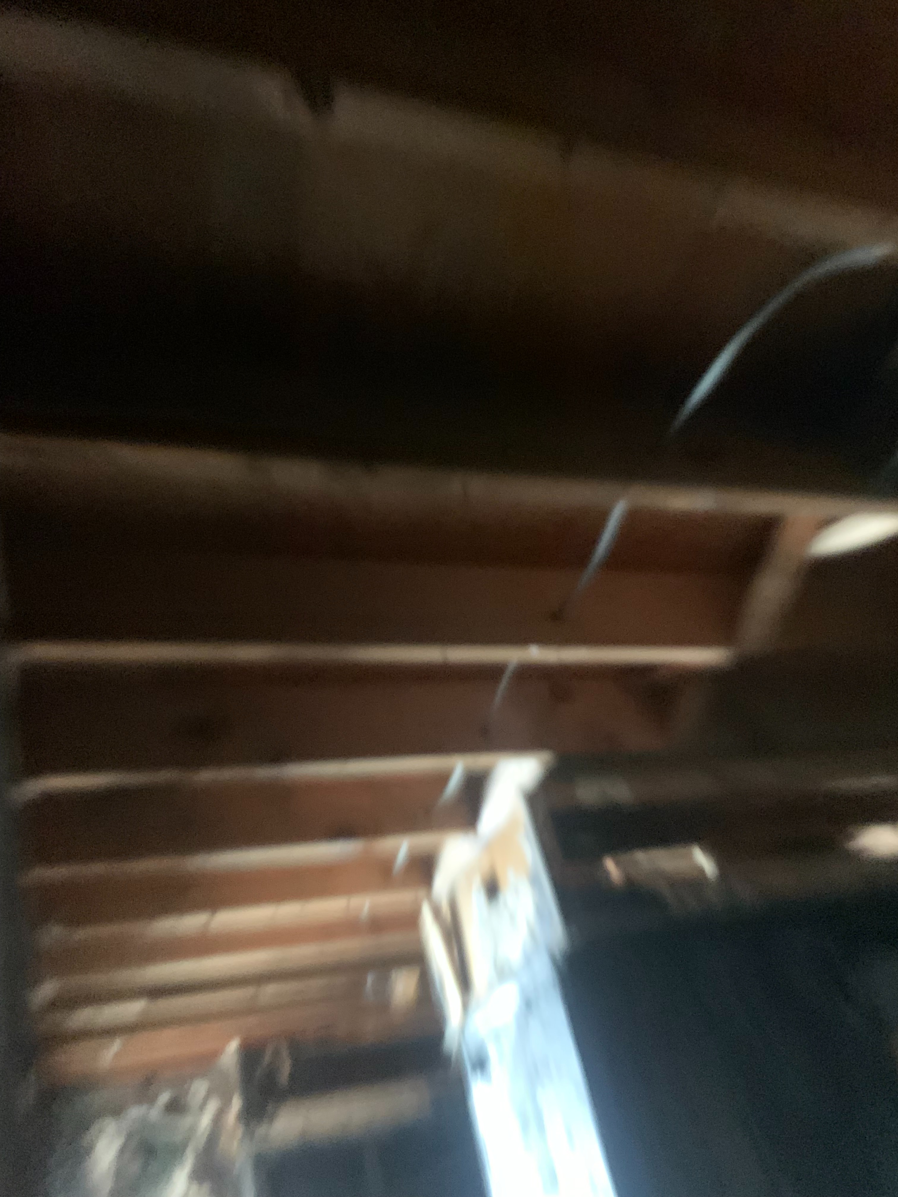 Help Ms.Cookie Rebuild After Devastating Fire campaign photo, 5 of 8
