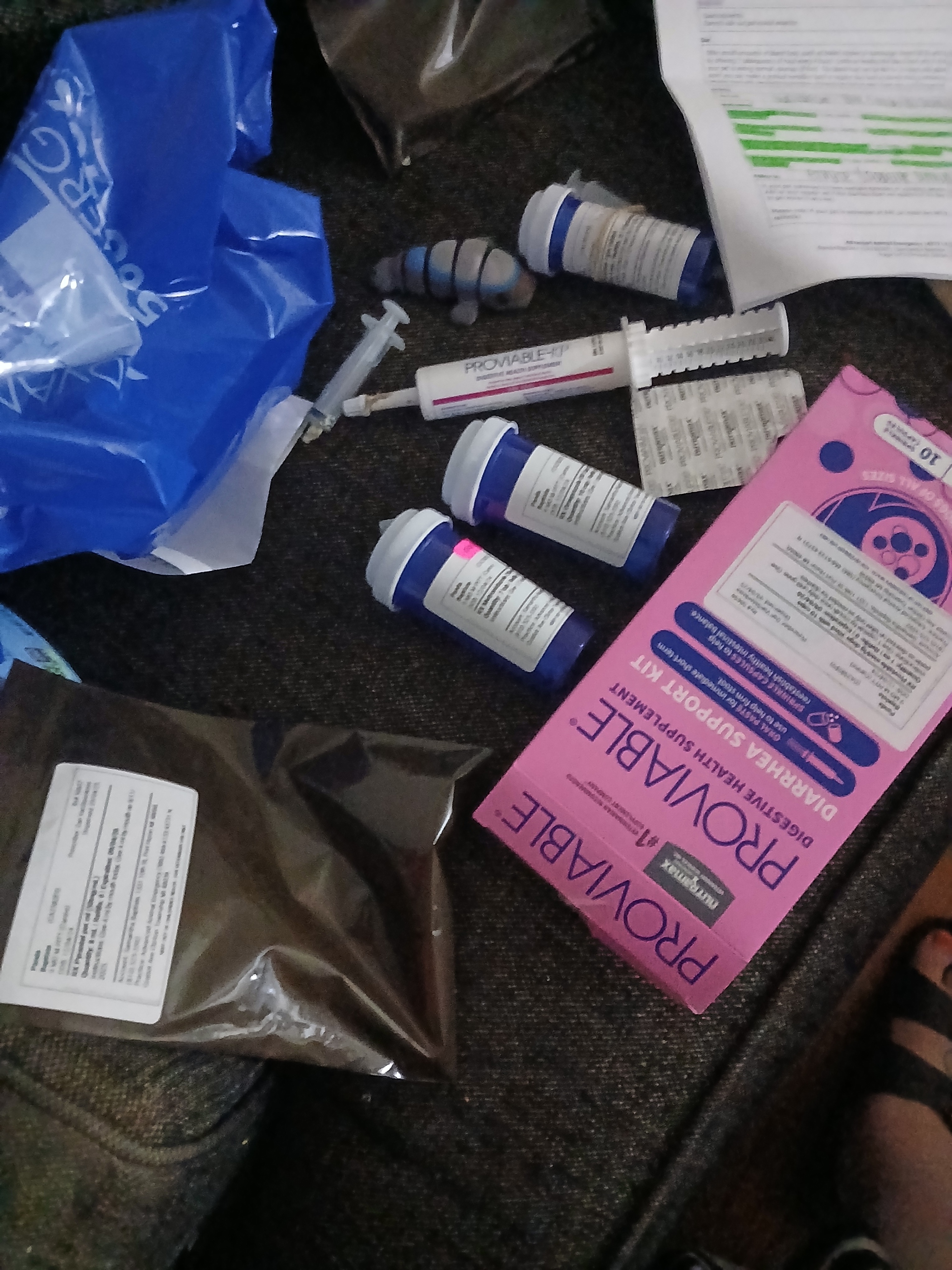 Save Panda: Urgent Vet Care Needed campaign photo, 6 of 8