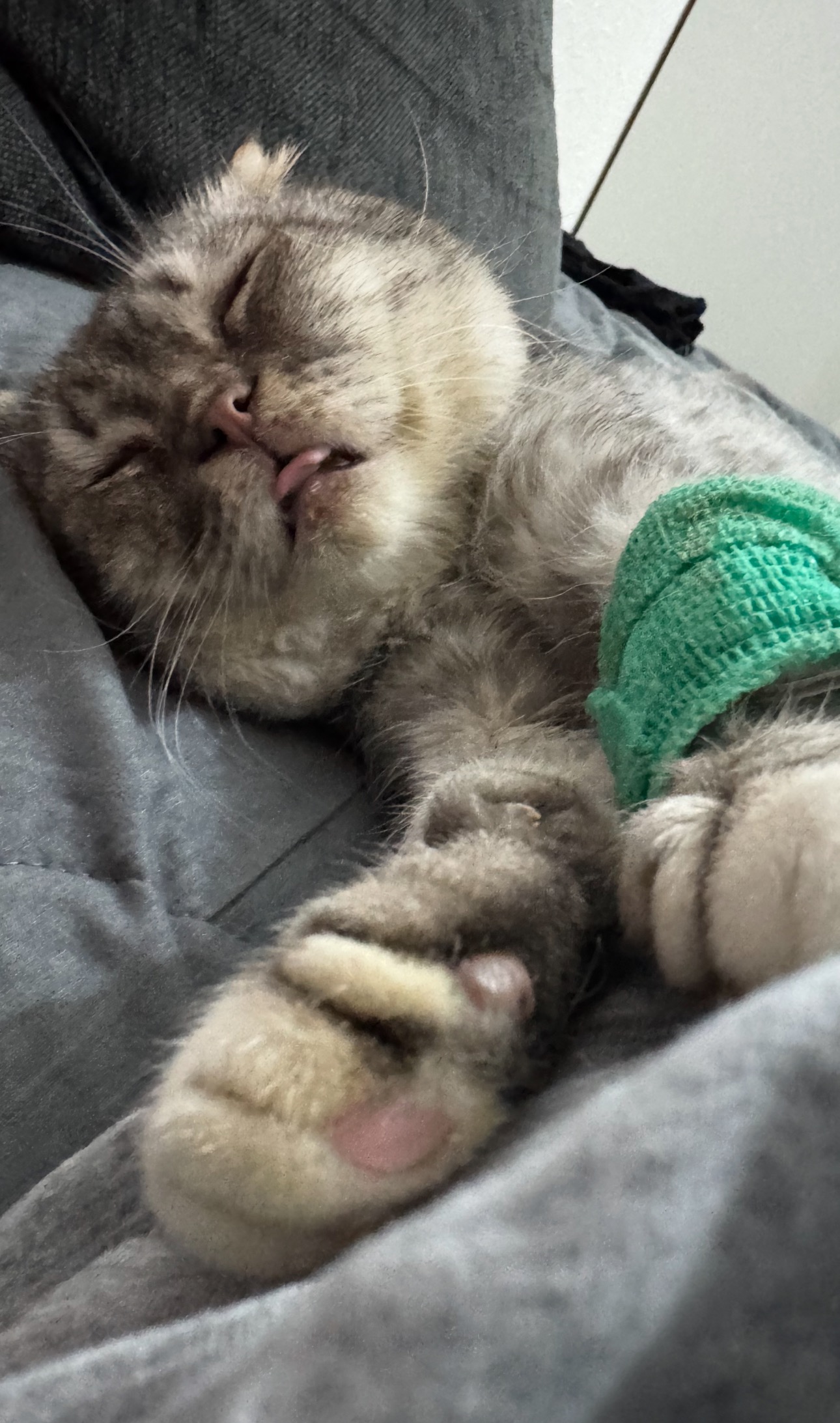 User-uploaded image 1