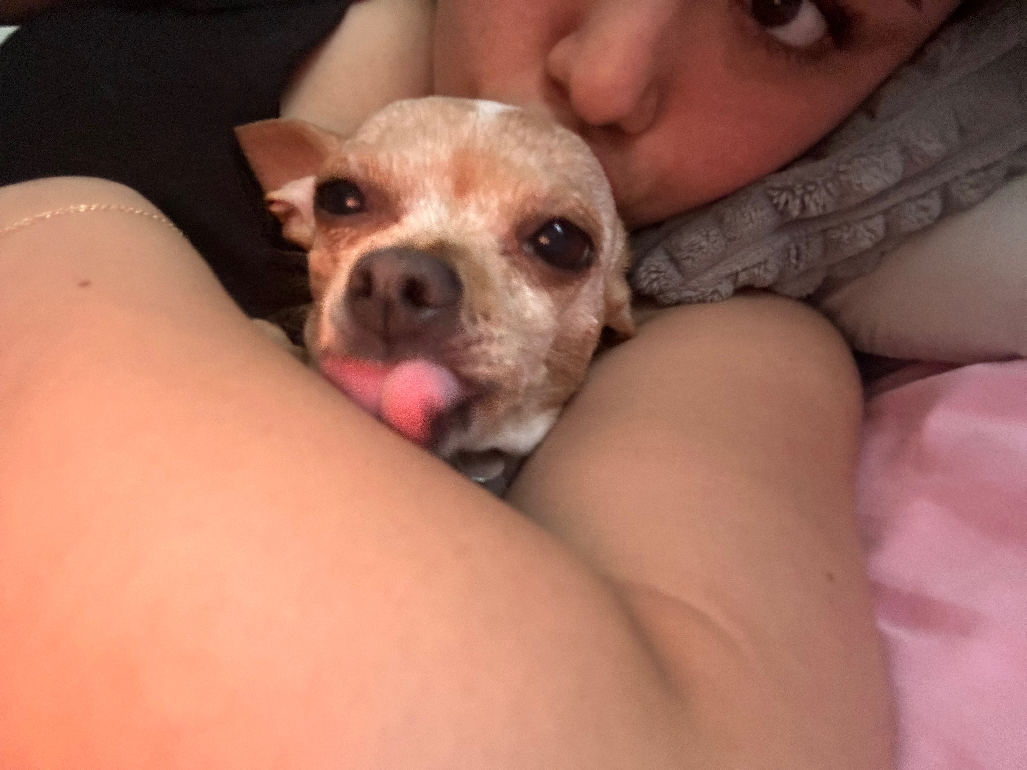 Support Baby Daisy's Surgery and Recovery campaign photo, 2 of 6