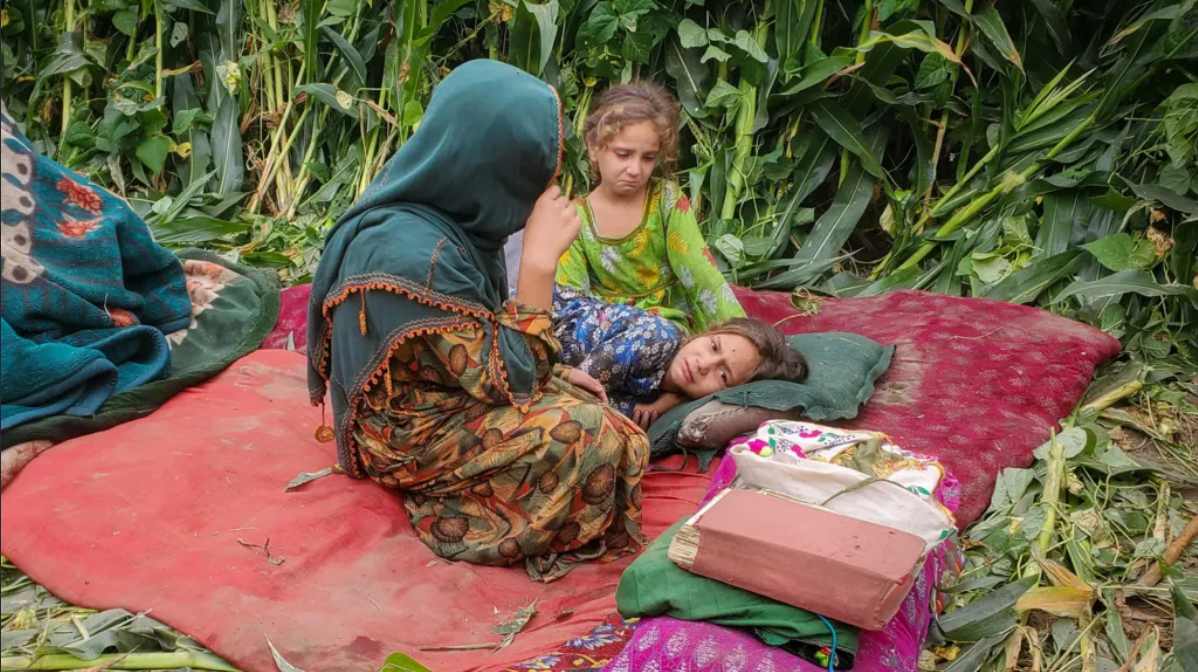 Aidons les familles afghanes sans abri après le séisme campaign photo, 5 of 6