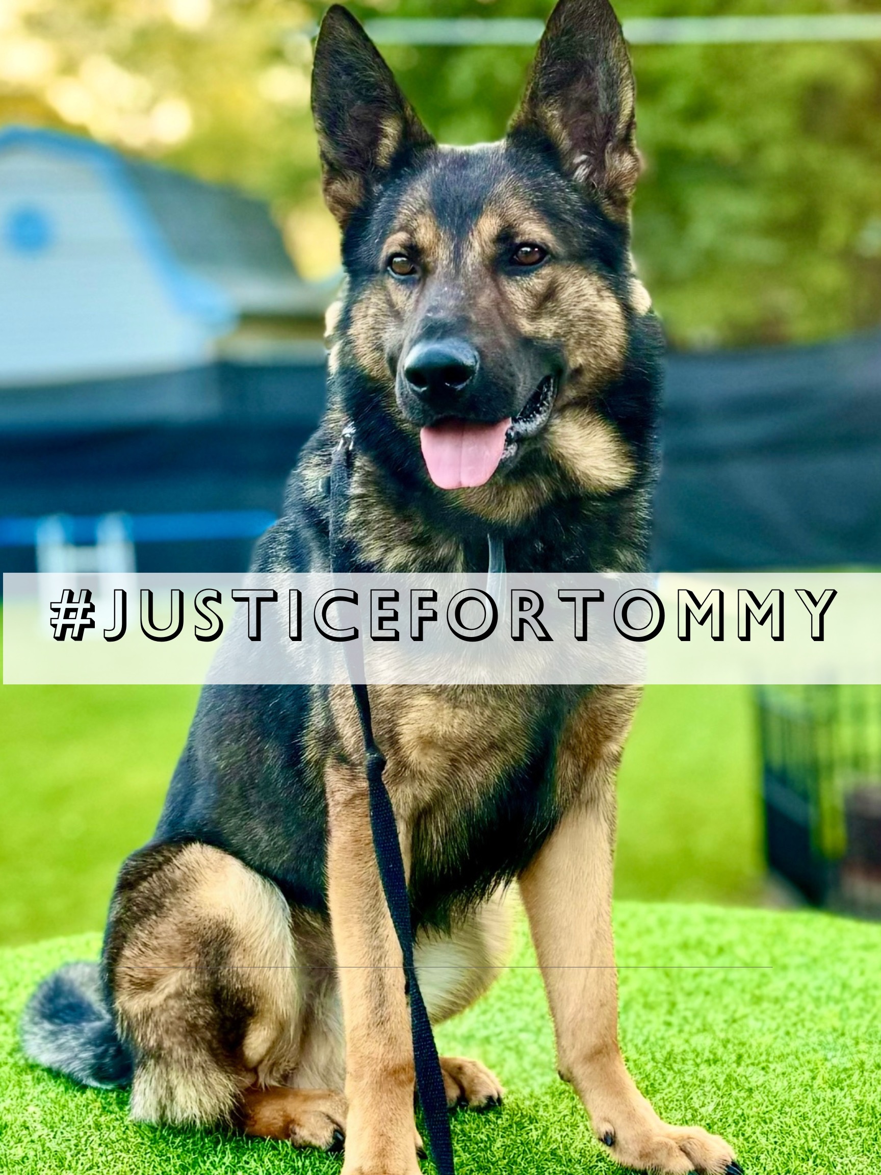 Justice for Tommy & Support for Andy campaign photo, 4 of 8