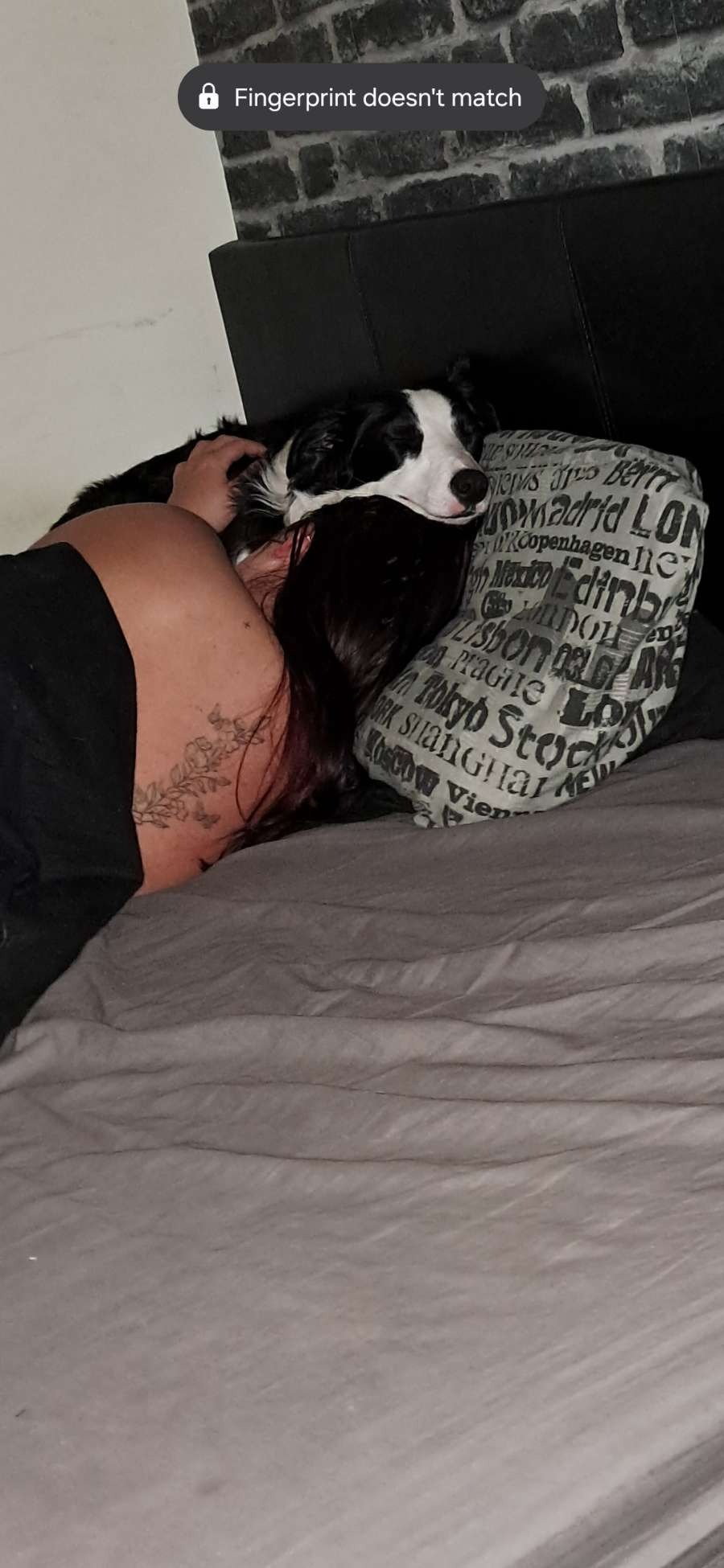 Help raise money for ivy's vet fees campaign photo, 4 of 8