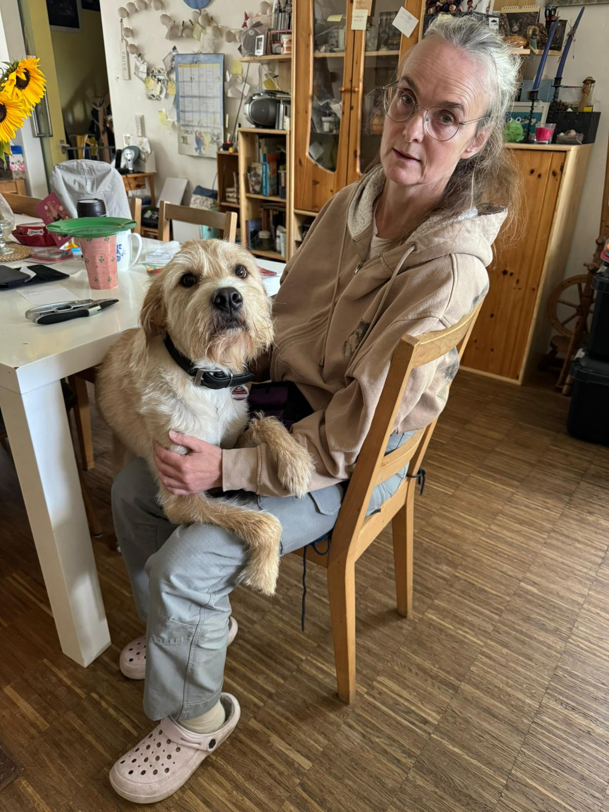 Vom Nutzer hochgeladenes Bild 1