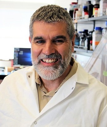 Imagen cargada por el usuario 1