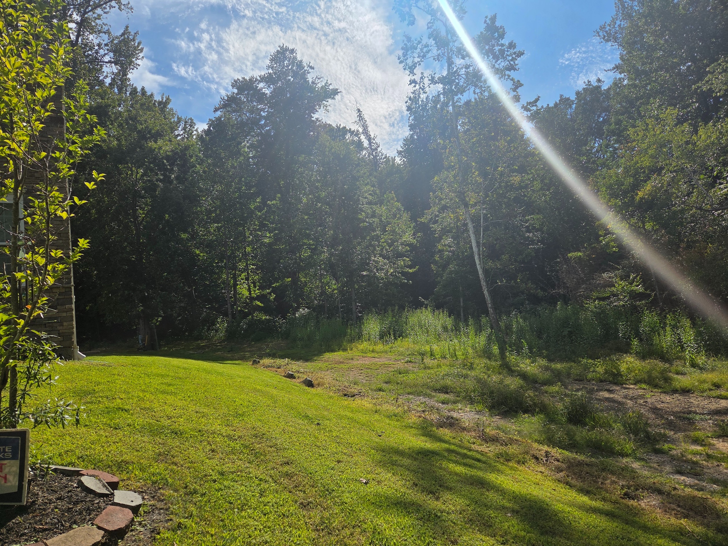 C-Bud’s Ecosystem Sanctuary Garden Fundraising campaign photo, 4 of 5