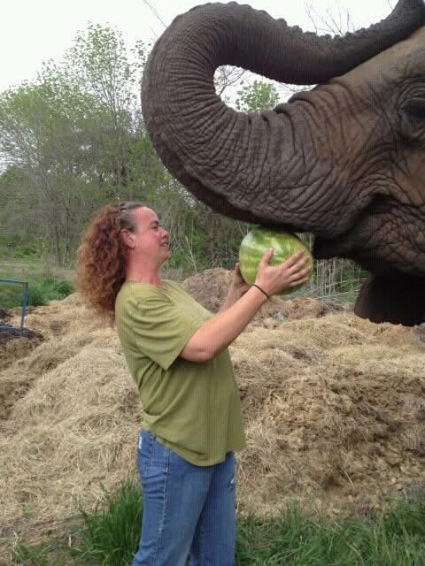 Support Paige Guardiola's Recovery and Petting Zoo campaign photo, 2 of 5