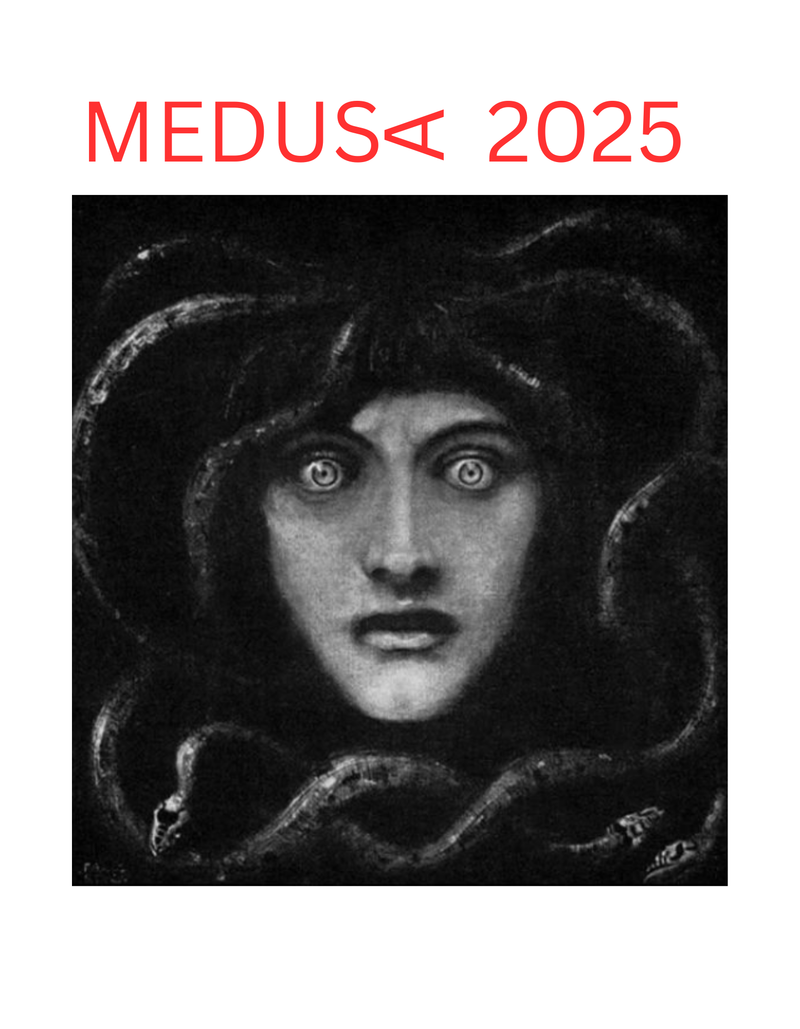 Help Us Create Medusa 2025 campaign photo, 2 of 4