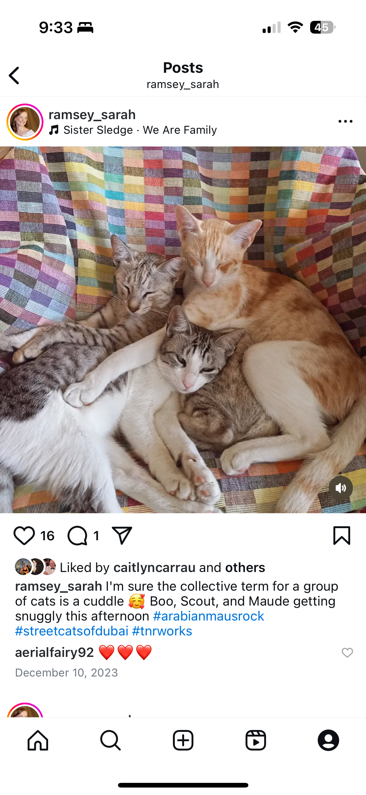 Get these gorgeous cats to the UK to start a new life campaign photo, 5 of 6