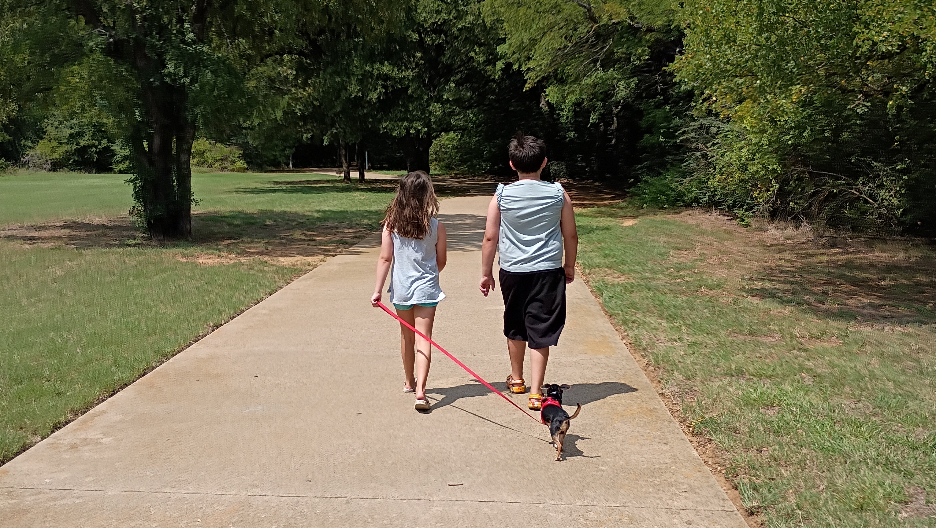 Family of 5 struggling in the car photo