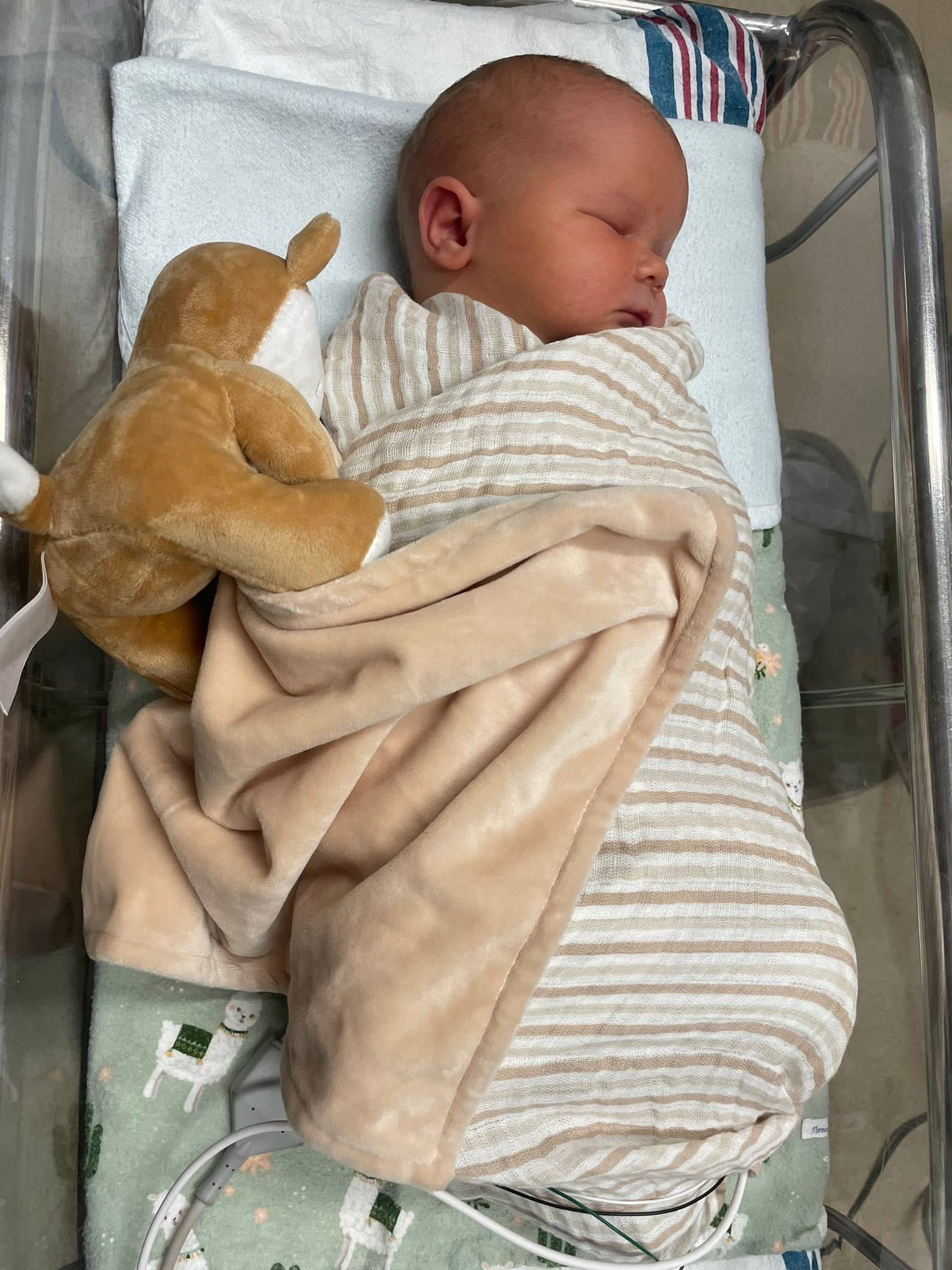 Help baby Daelan in the NICU campaign photo, 4 of 8